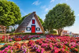 Ein traditionelles, strohgedecktes Bauernhaus in Santana auf Madeira, umgeben von einem bunten Blumengarten unter blauem Himmel.