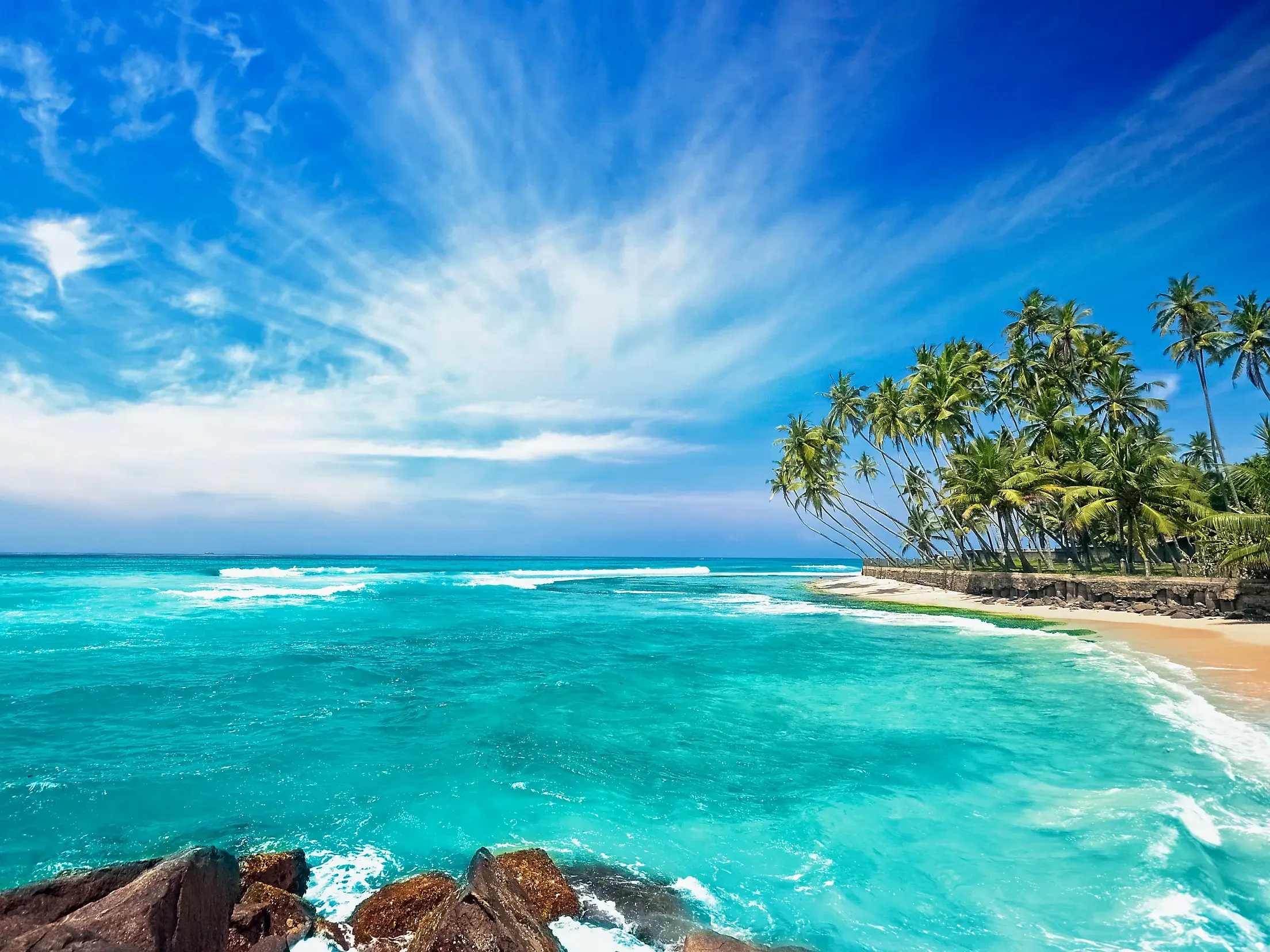Blick von Felsen auf das türkise Meer und einen von Palmen gesäumten Sandstrand an der sonnigen Küste von Sri Lanka.