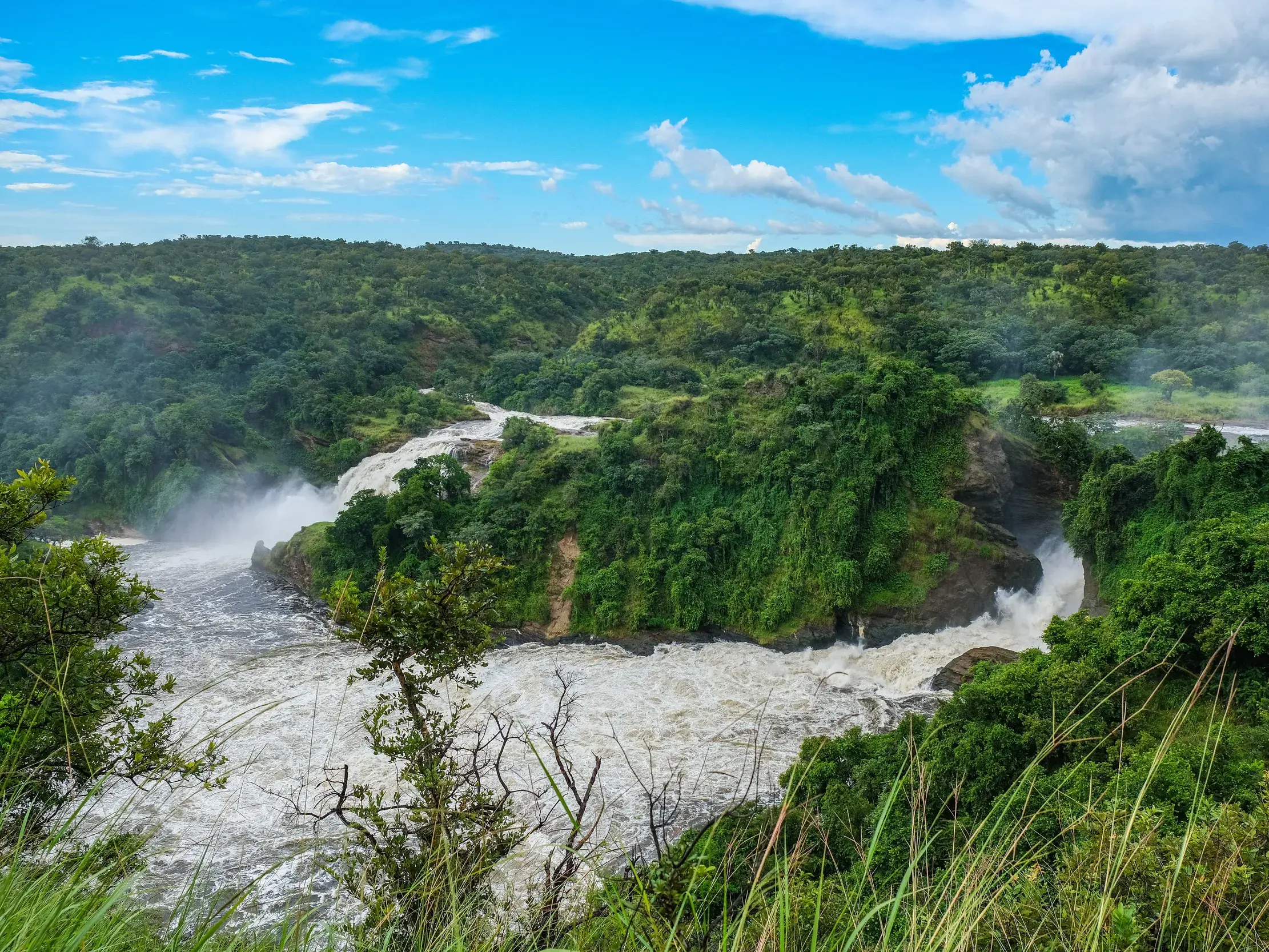 Panoramablick auf die gewaltigen Murchison Falls am Nil, die in eine Schlucht im grünen Murchison Nationalpark stürzen.
