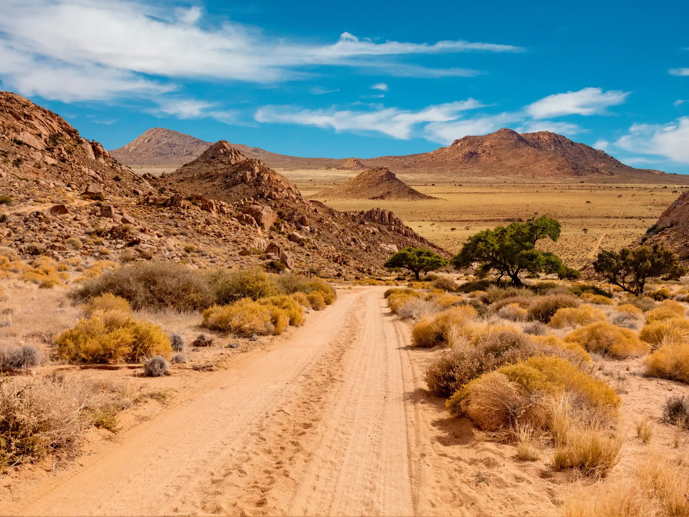 Eine unbefestigte Sandpiste führt durch das Erongogebirge in Namibia, gesäumt von trockenen Büschen und grünen Bäumen.
