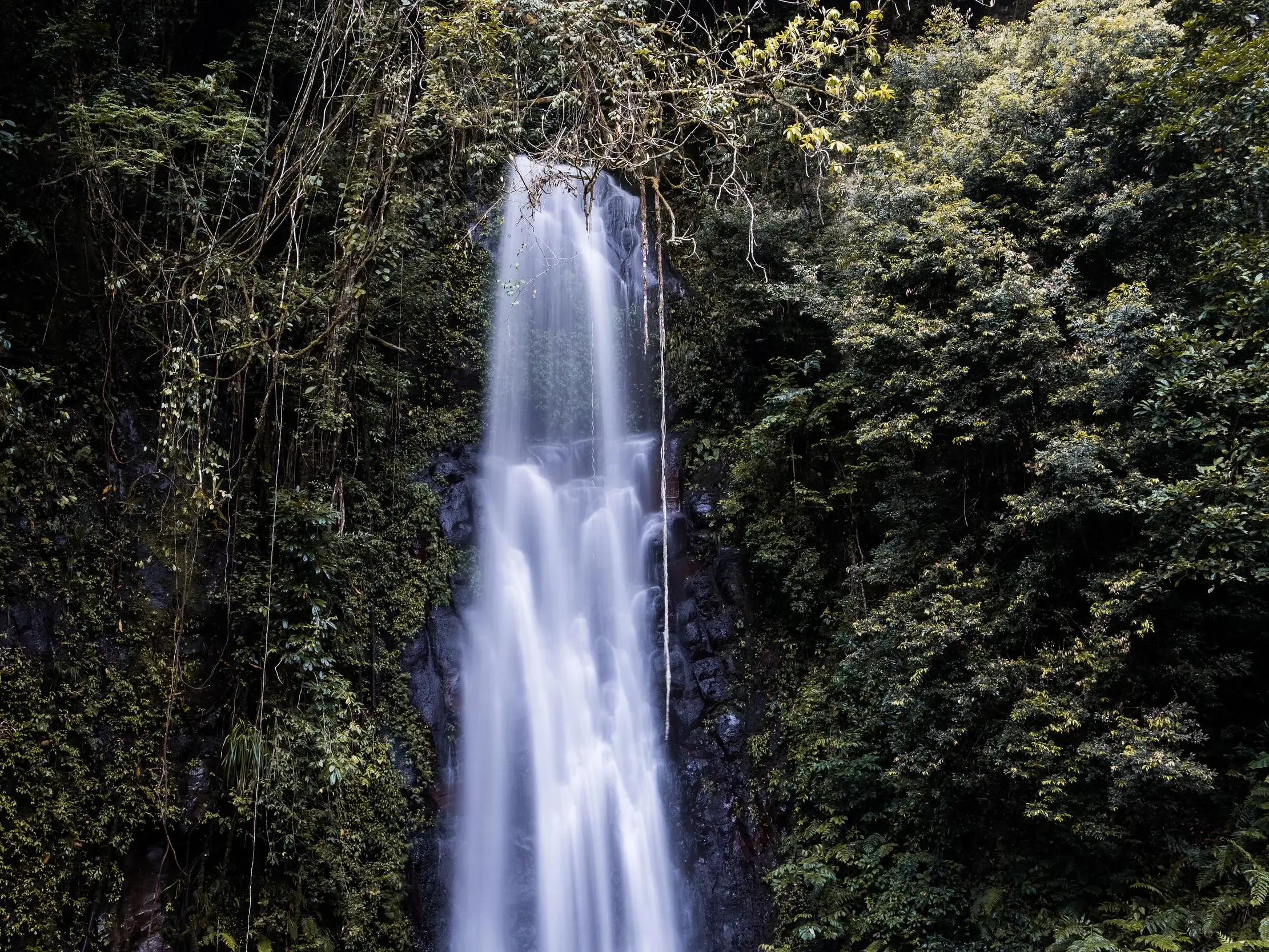 Langzeitbelichtung eines Wasserfalls, der im tropischen Regenwald des Obô-Nationalparks auf São Tomé in die Tiefe stürzt.