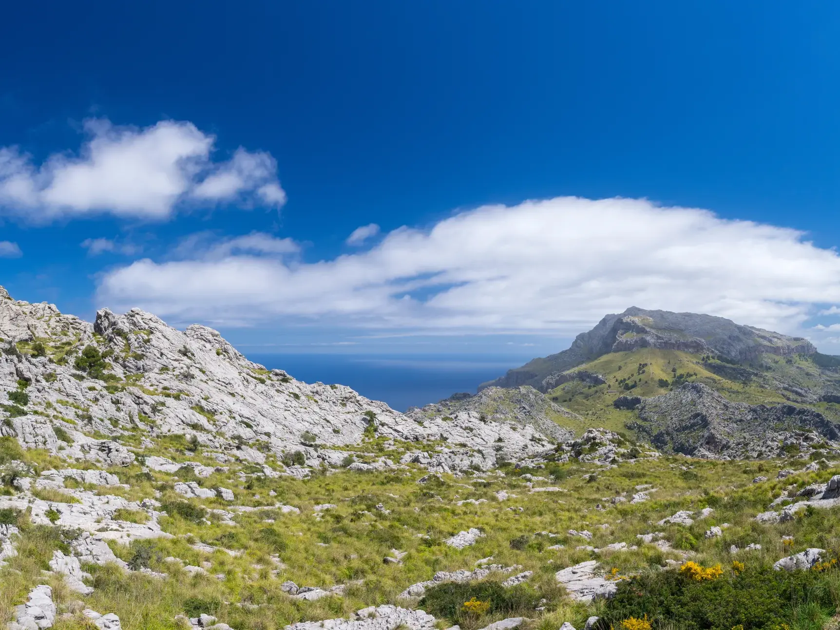 Weite Karstlandschaft im Tramuntana-Gebirge auf Mallorca mit Blick auf den Gipfel des Puig Massanella und das Meer.