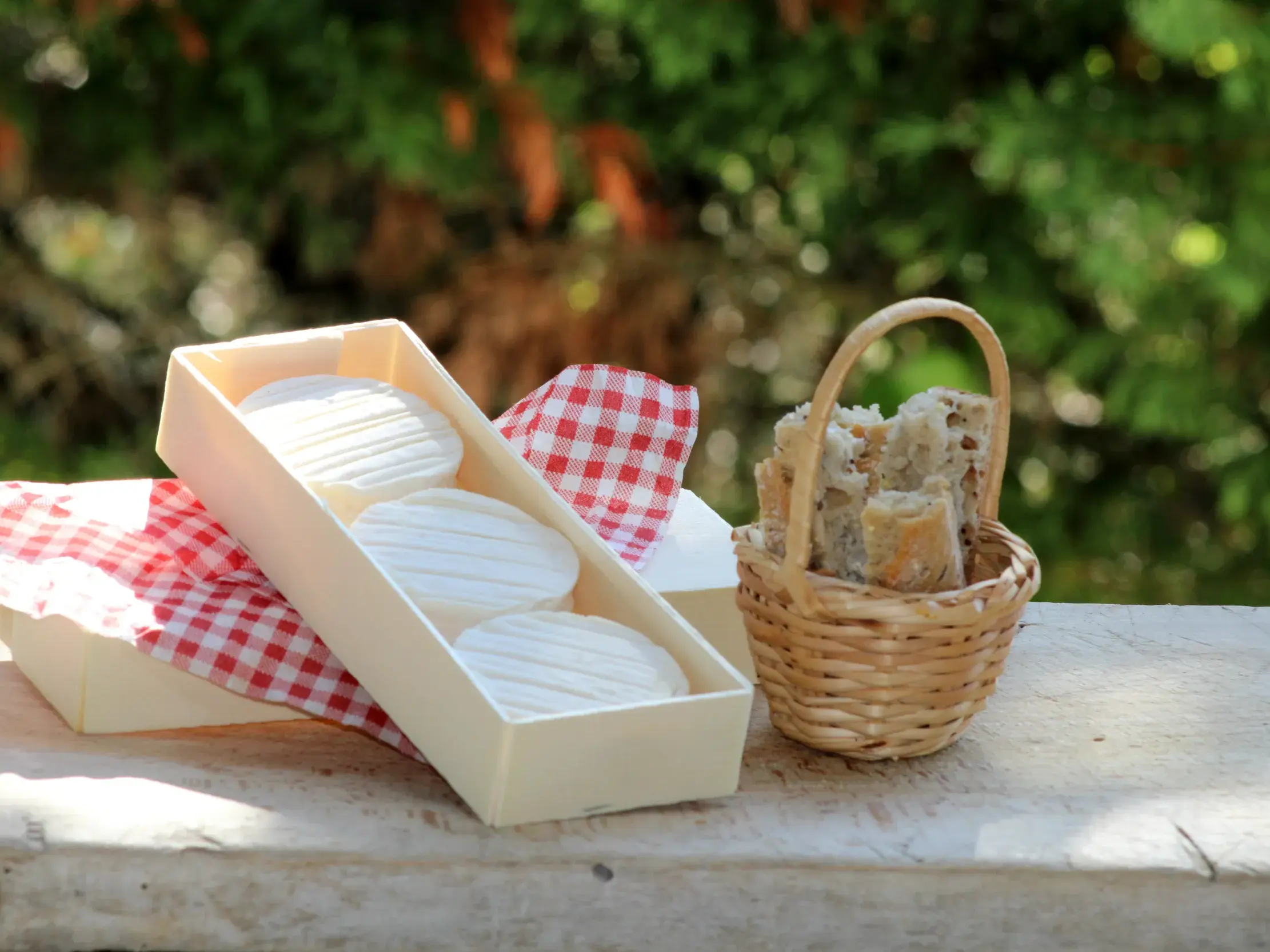 Rocamadour-Ziegenkäse in einer Holzschachtel, arrangiert auf einem Tisch im Freien für eine Käseprobe