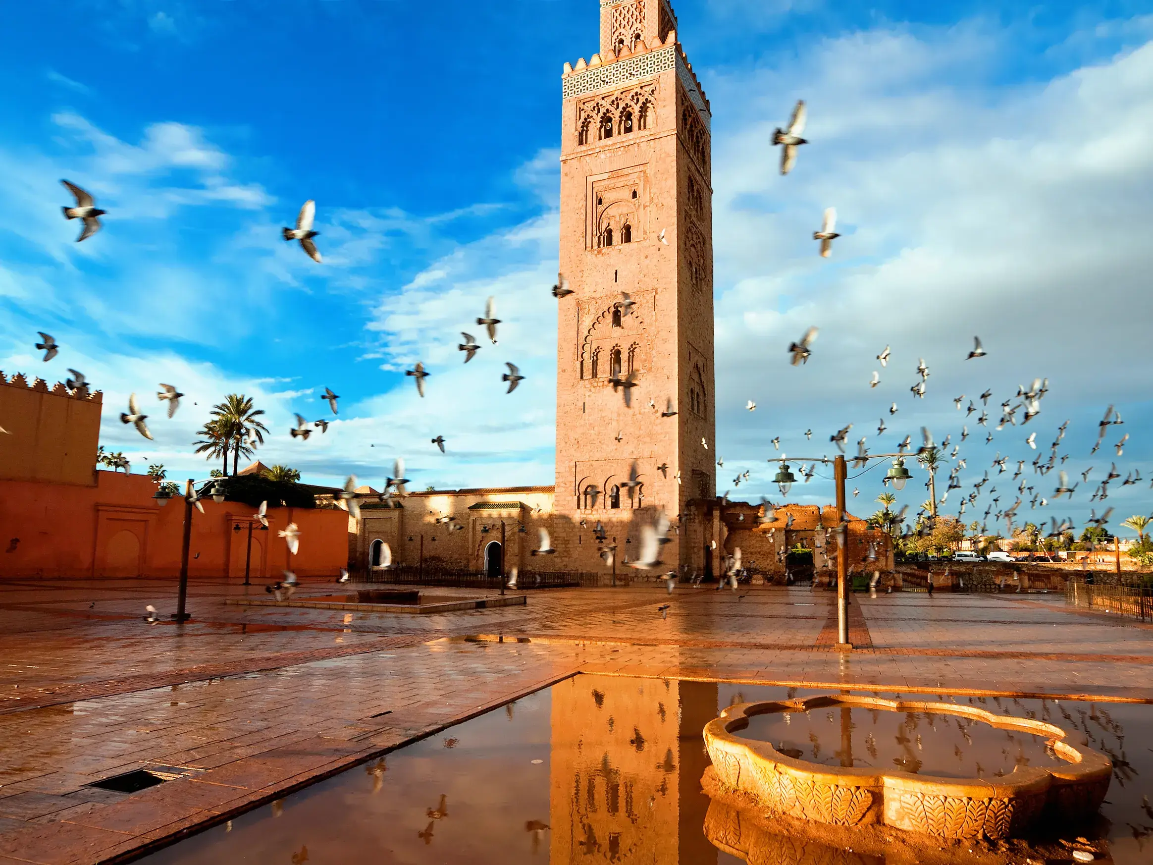Ein schönes Fotomotiv: Das Minarett der Koutoubia-Moschee in Marrakesch, umgeben von fliegenden Tauben, spiegelt sich im nassen Vorplatz.