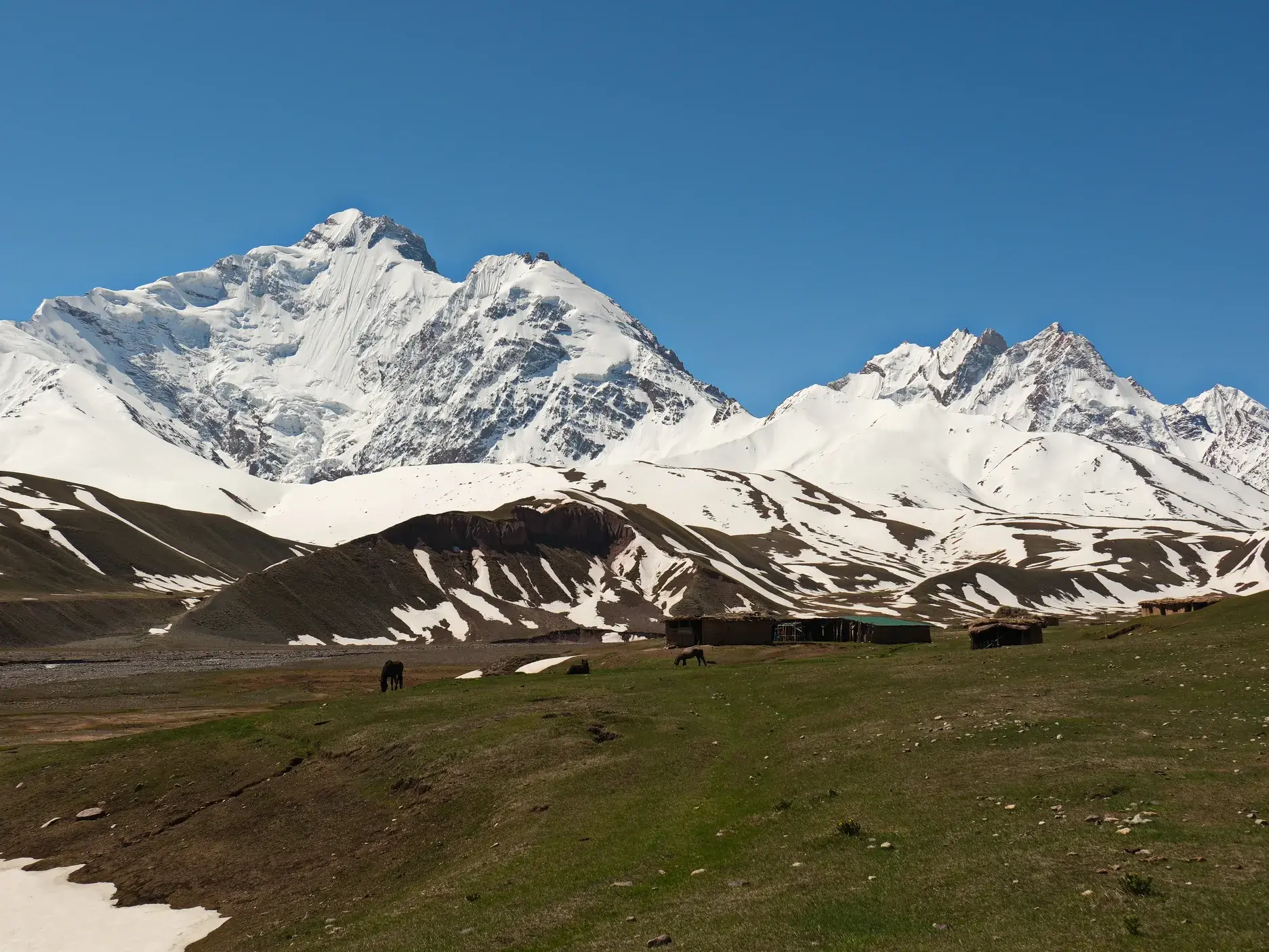 Pferde grasen auf einer Sommerweide im Rasht-Tal, im Hintergrund die vergletscherten Gipfel des Nordwest-Pamir.