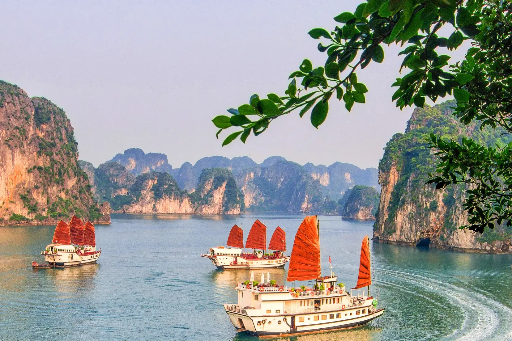 Traditionelle Dschunken mit roten Segeln während einer Studienreise in der von Karstfelsen geprägten Halongbucht in Vietnam.