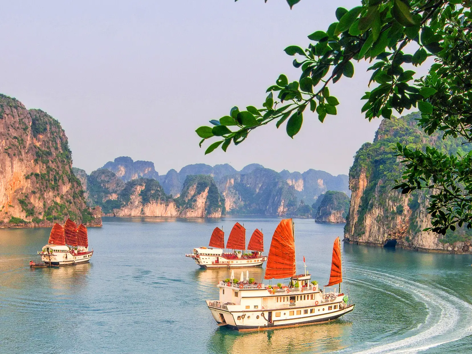 Traditionelle Dschunken mit roten Segeln während einer Studienreise in der von Karstfelsen geprägten Halongbucht in Vietnam.
