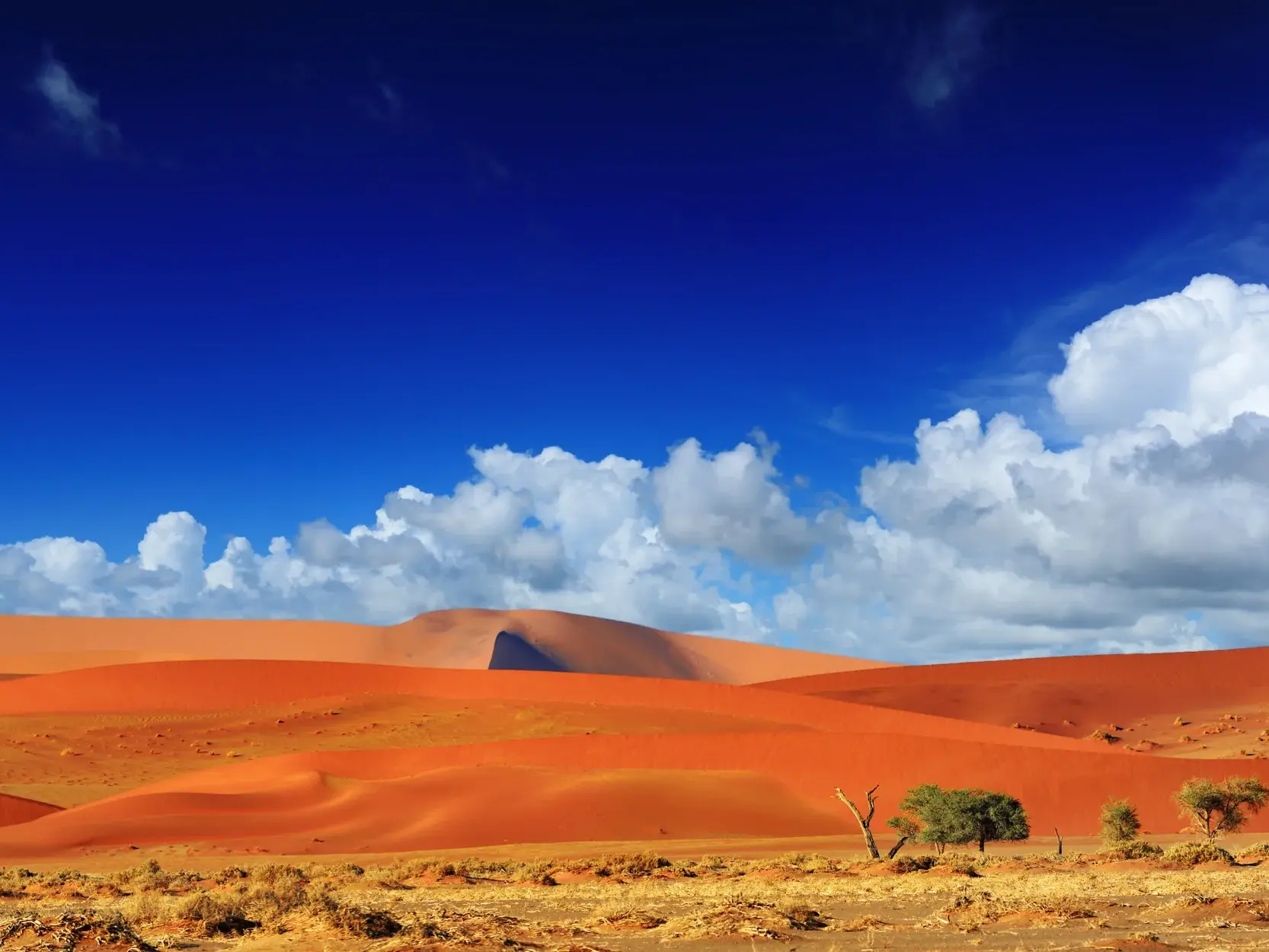 Weite, leuchtend rote Sanddünen bei Sossusvlei in der Namib-Wüste unter einem strahlend blauen Himmel mit weißen Wolken.