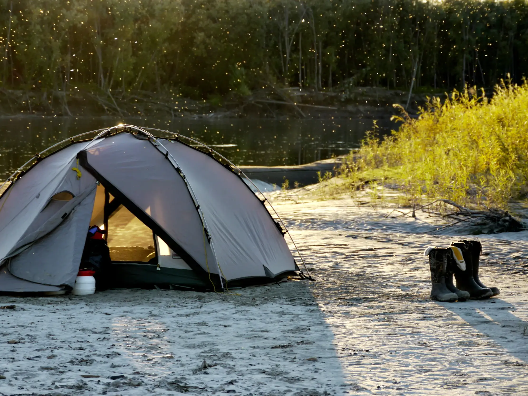 Aufgeschlagenes Zelt am sandigen Ufer des Yukon River beim Kanutrekking in Kanada im warmen Abendlicht.