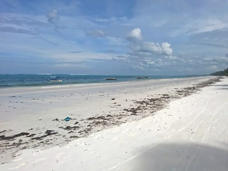 Weitläufiger, weißer Sandstrand auf Sansibar mit angespültem Seegras und kleinen Booten im türkisen Indischen Ozean.