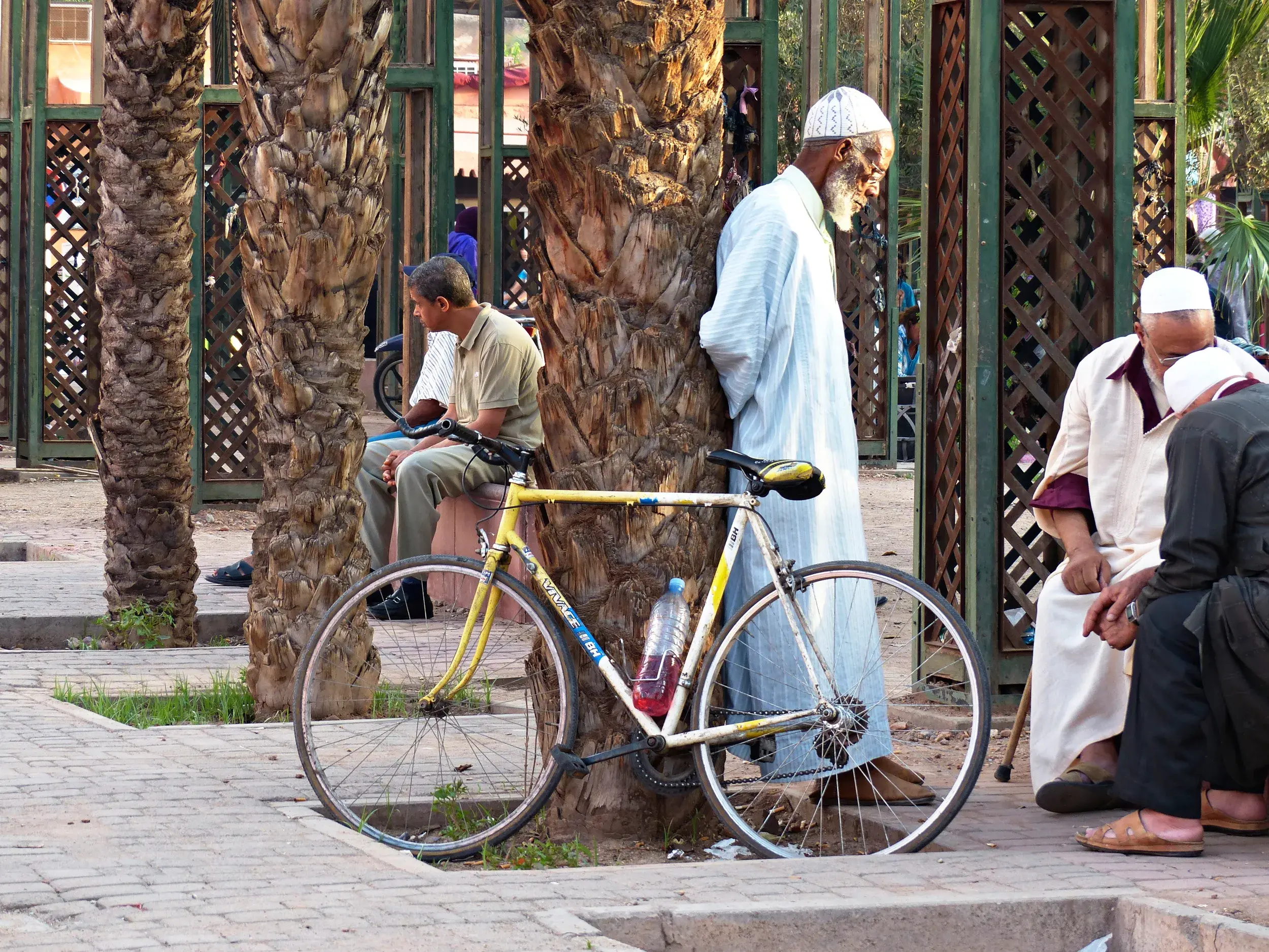 Vier marokkanische Männer in traditioneller Kleidung entspannen im Schatten von Palmen in Marrakesch, ein Fahrrad lehnt am Baum.