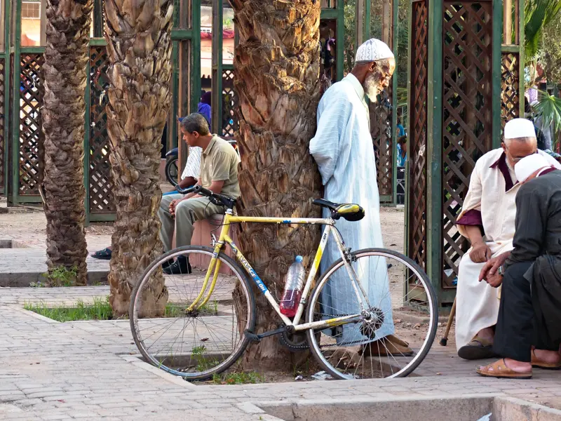 Vier marokkanische Männer in traditioneller Kleidung entspannen im Schatten von Palmen in Marrakesch, ein Fahrrad lehnt am Baum.