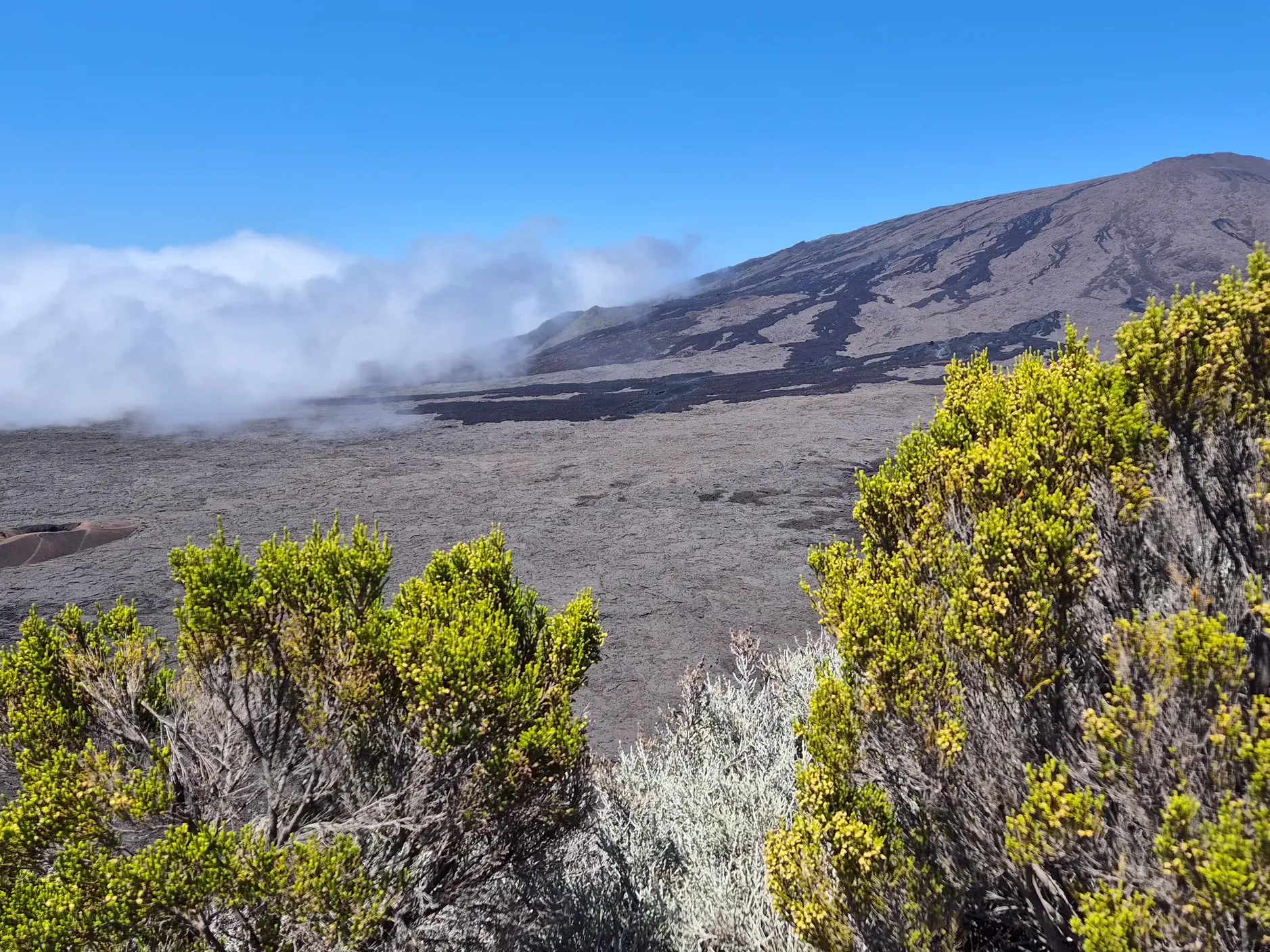 Karge Vulkanlandschaft des Piton de la Fournaise auf La Réunion mit grünen Büschen im Vordergrund unter blauem Himmel.