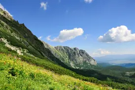 Ausblick beim Wandern in der Hohen Tatra: Eine blühende Bergwiese vor einer steilen Felswand unter blauem Himmel.