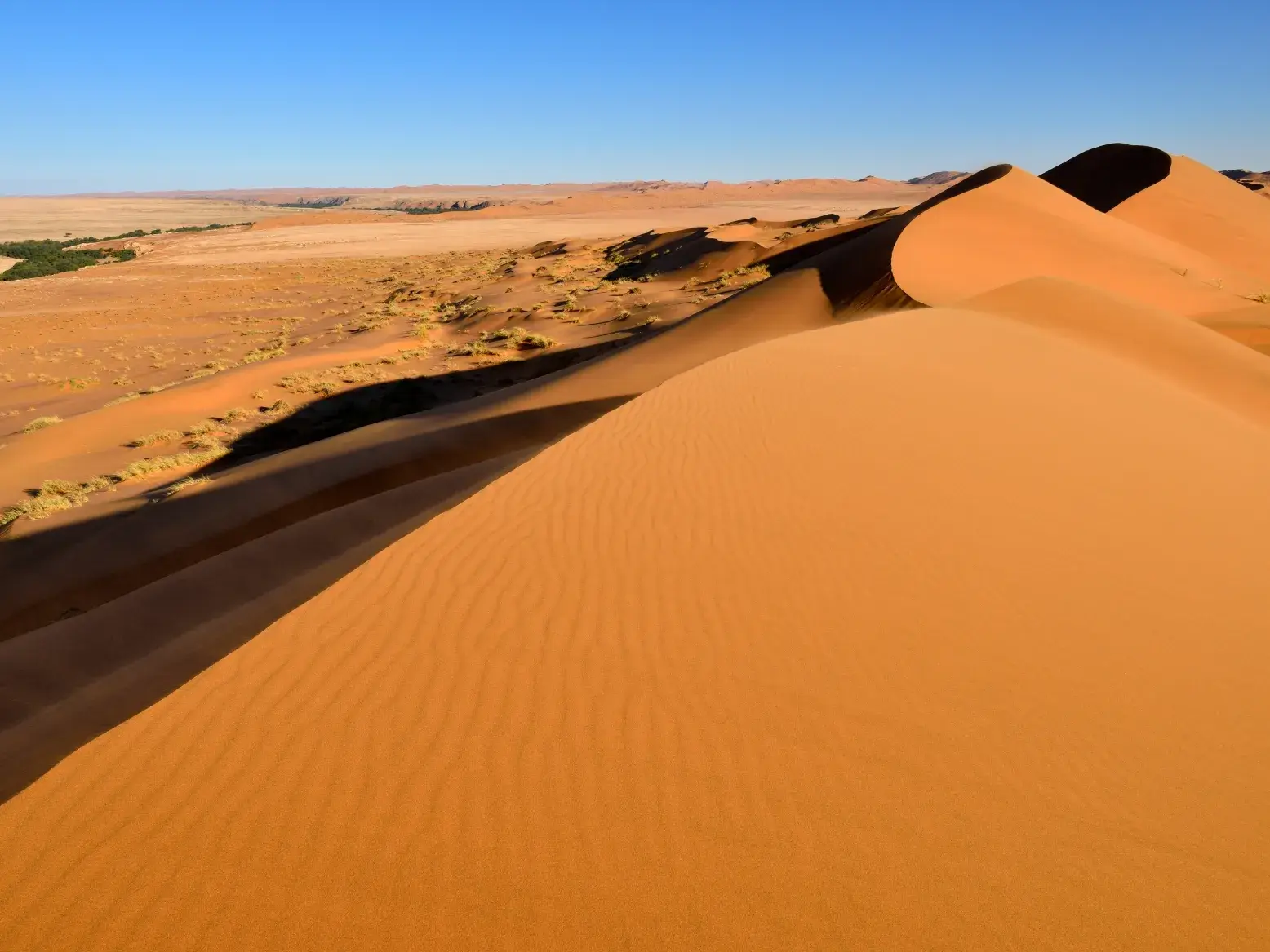 Endlose, apricotfarbene Dünenlandschaft der Namib-Wüste bei einer Wanderung im Sossusvlei in Namibia unter blauem Himmel.