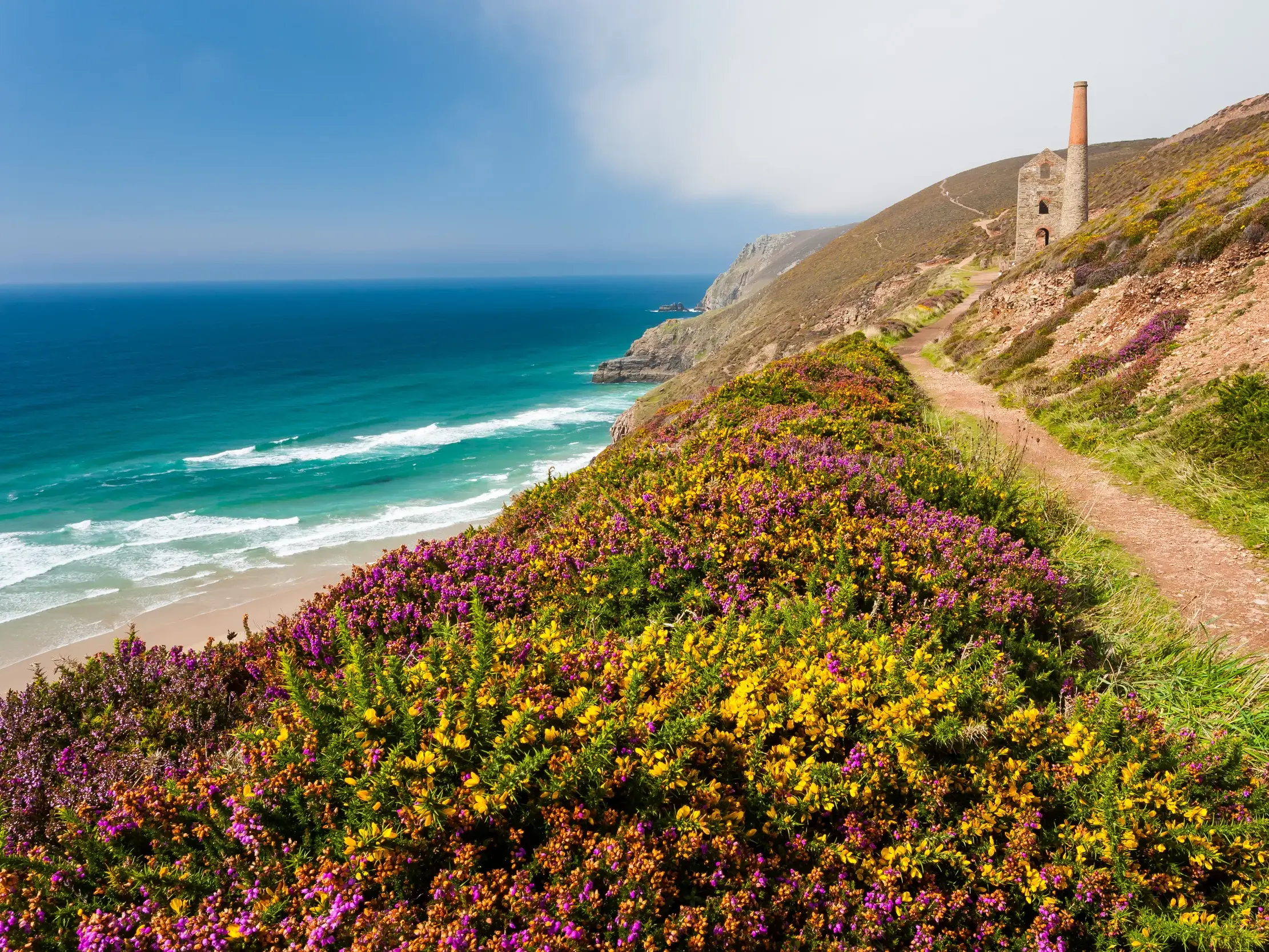 Wanderweg am South West Coast Path in Cornwall. Bunte Heide blüht neben dem Pfad mit Blick auf eine alte Zinnmine und das Meer.
