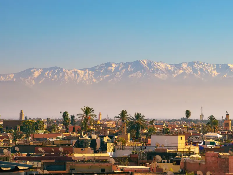 Panoramablick über die Dächer von Marrakech mit Palmen auf die schneebedeckten Gipfel des Hohen Atlas Gebirges bei klarem Himmel.