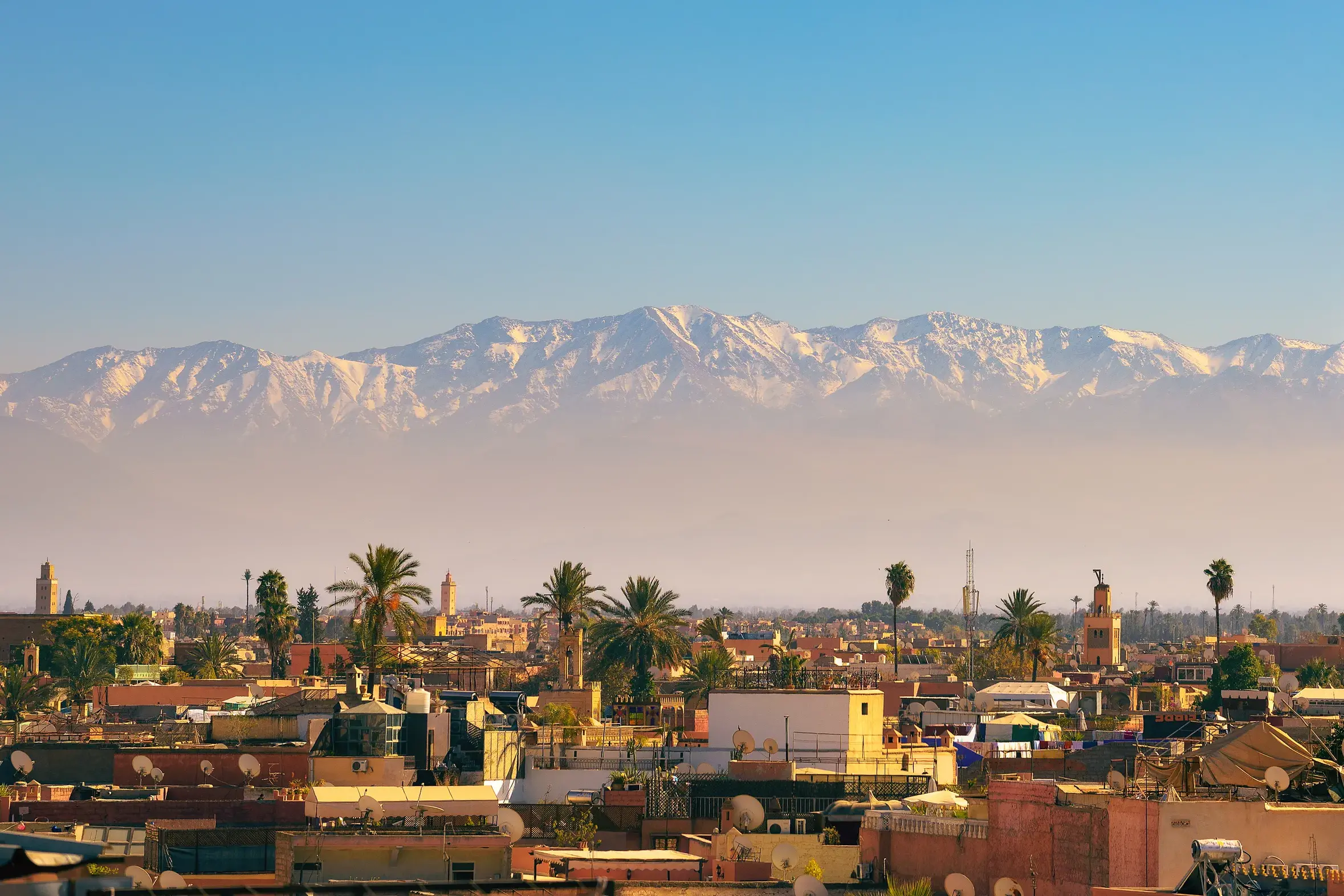 Blick von den Dächern Marrakeschs über die Medina auf die imposante, schneebedeckte Gipfelkette des Hohen Atlas in Marokko.