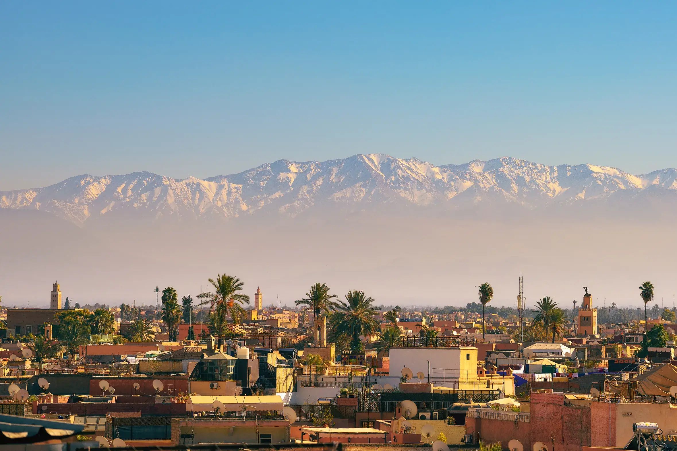 Blick über die Dächer von Marrakesch auf die schneebedeckten Gipfel des Hohen Atlas, Ziel einer Trekkingreise in Marokko.