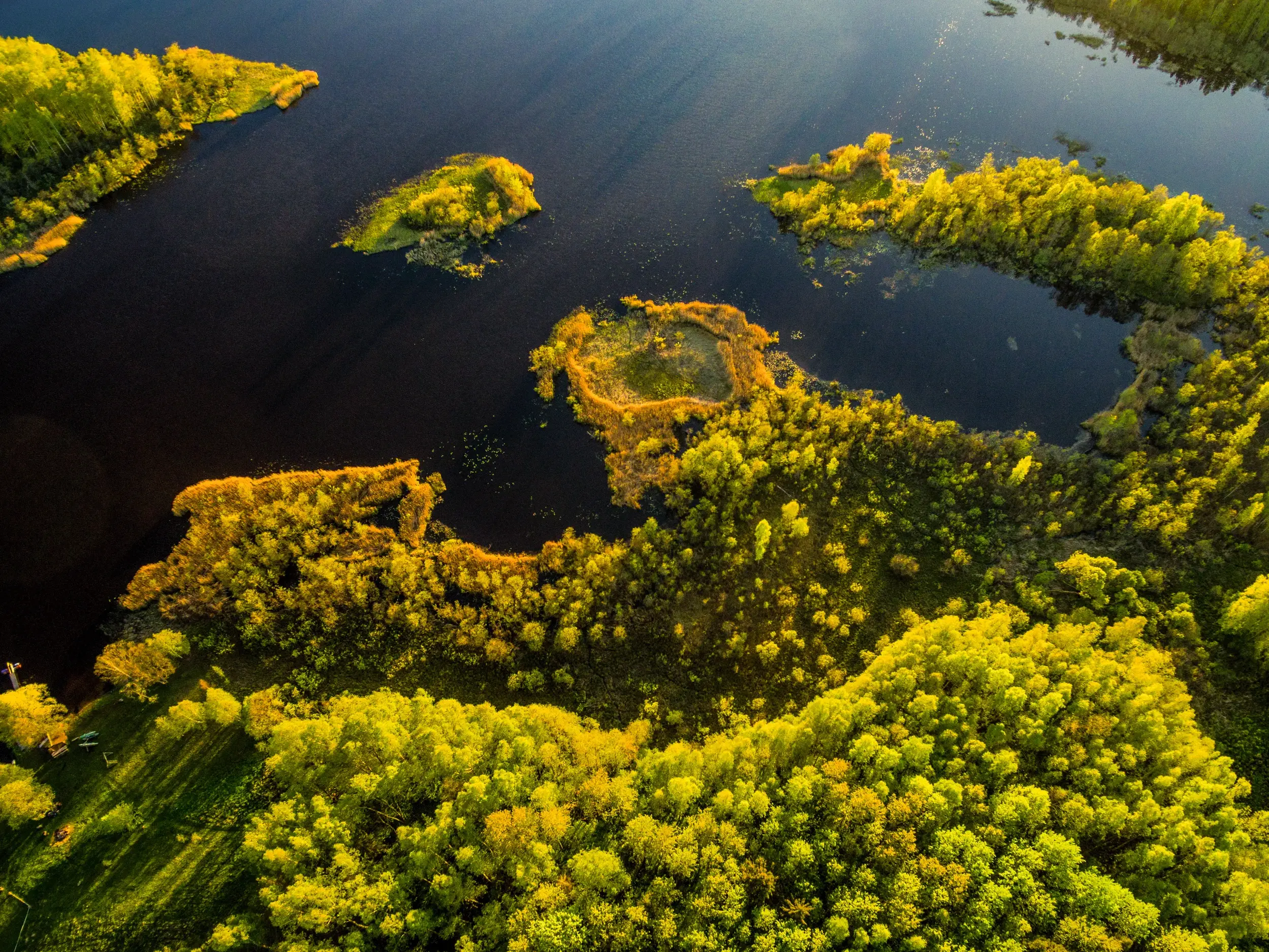 Luftaufnahme einer baltischen Seenlandschaft, deren dunkles Wasser von sonnenbeschienenen, grünen Wäldern umgeben ist.