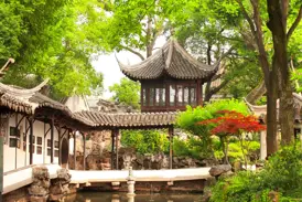 Blick auf einen hölzernen Pavillon mit Ziegeldach inmitten üppiger, grüner Bäume in einem klassischen Garten in Suzhou.