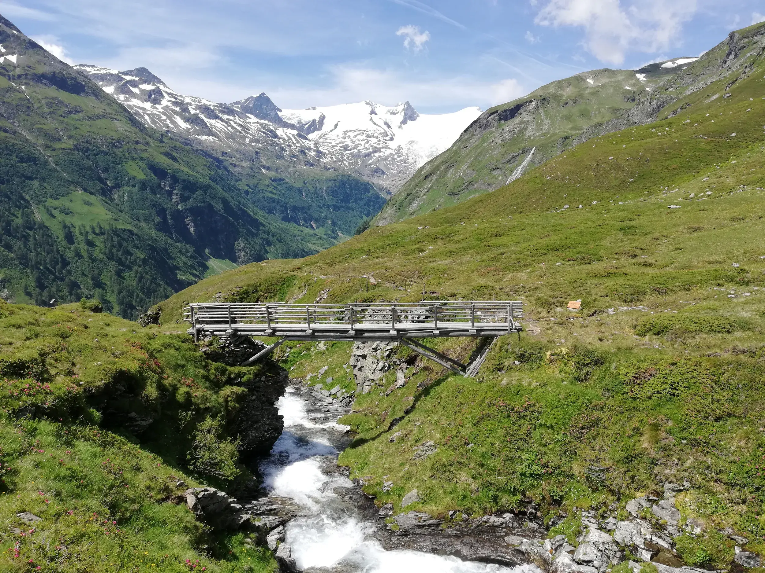 Eine Holzbrücke über einen Gebirgsbach auf einer Wanderung im Nationalpark Hohe Tauern mit Blick auf den Großvenediger.