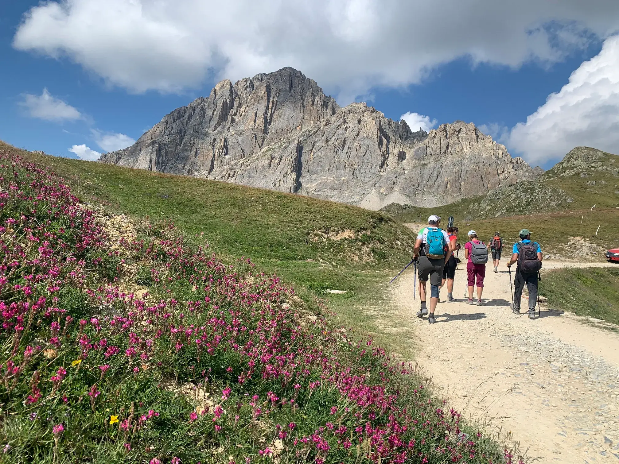 Eine Wandergruppe erkundet auf einem Pfad das Maira-Tal im Piemont, vorbei an blühenden Alpenwiesen vor einem Felsmassiv.