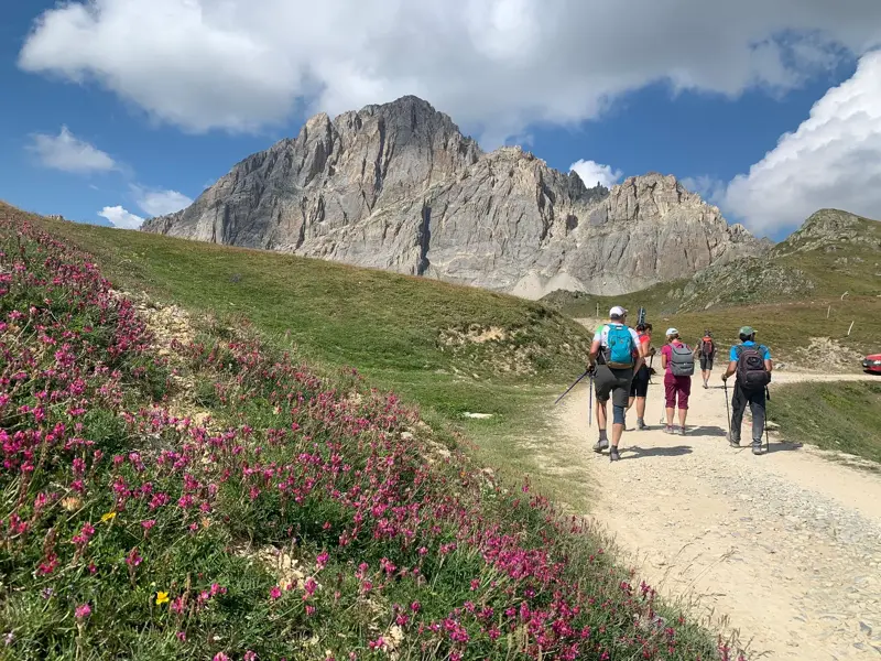 Eine Wandergruppe erkundet auf einem Pfad das Maira-Tal im Piemont, vorbei an blühenden Alpenwiesen vor einem Felsmassiv.