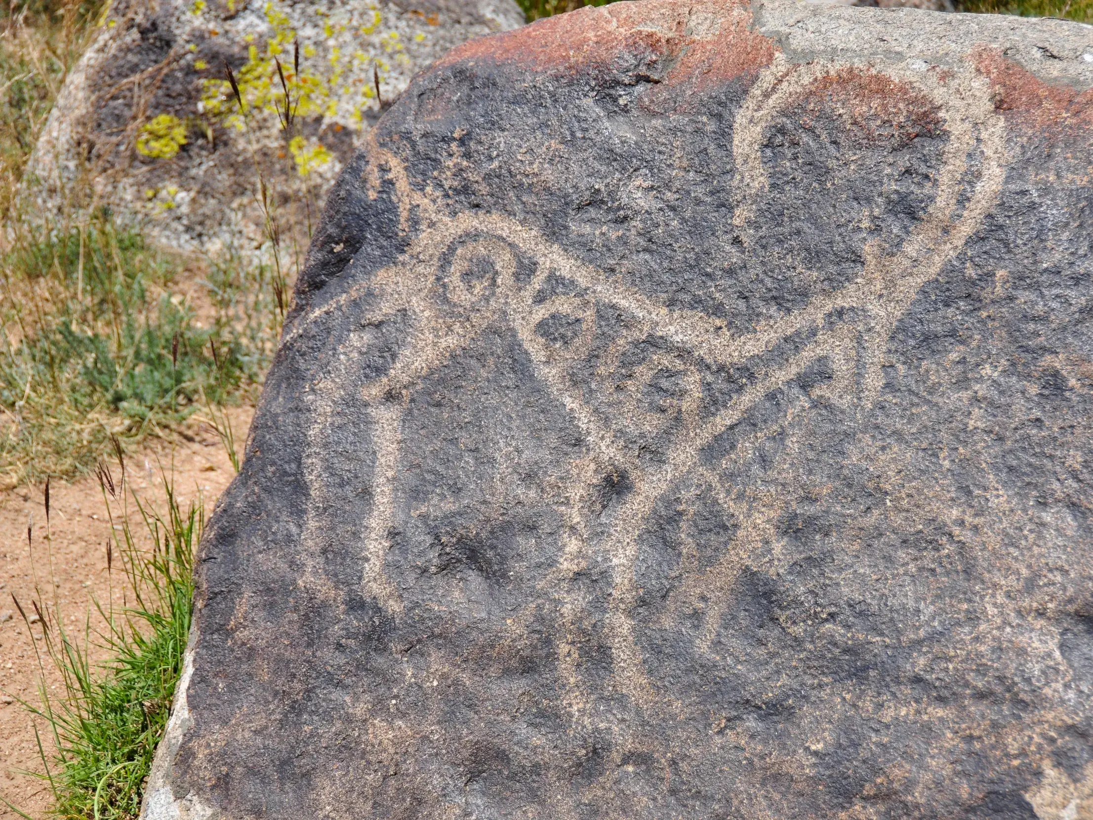 Alte Felszeichnung eines Steinbocks mit geschwungenen Hörnern auf einem Felsen am Songköl-See in Kirgistan.