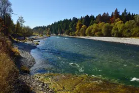Die türkisfarbene Isar fließt als Wildfluss durch Bayern, gesäumt von weiten Kiesbänken und herbstlichen Auwäldern.
