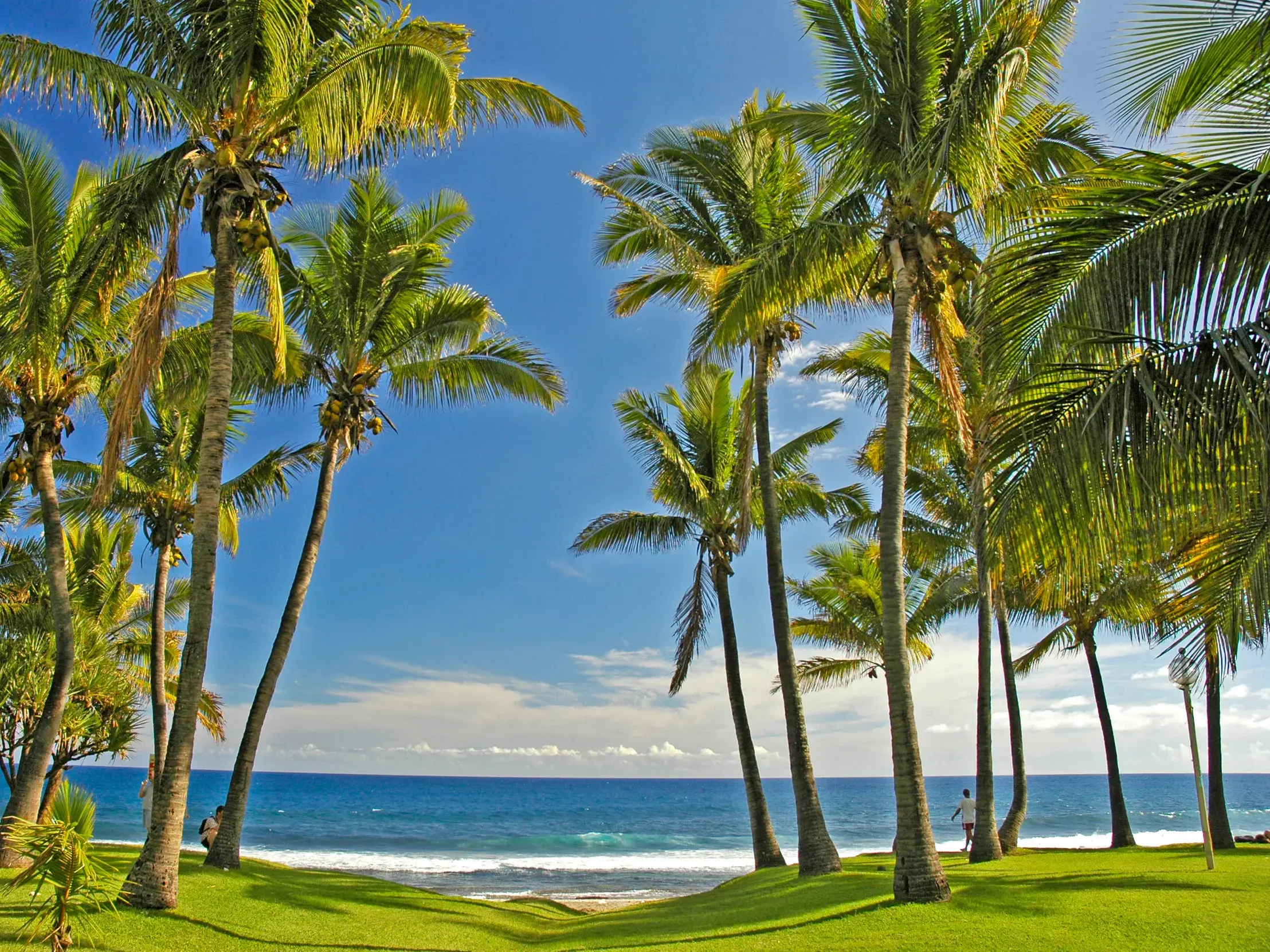 Grüne Wiese mit hohen Palmen am Strand des Indischen Ozeans, idyllische Küstenlandschaft auf La Réunion.