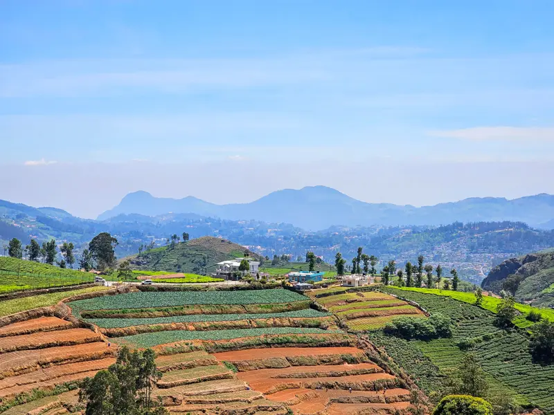 Weite Landschaft mit grünen, terrassierten Tee- und Gemüsefeldern in den Nilgiri-Bergen bei Ooty in Südindien.