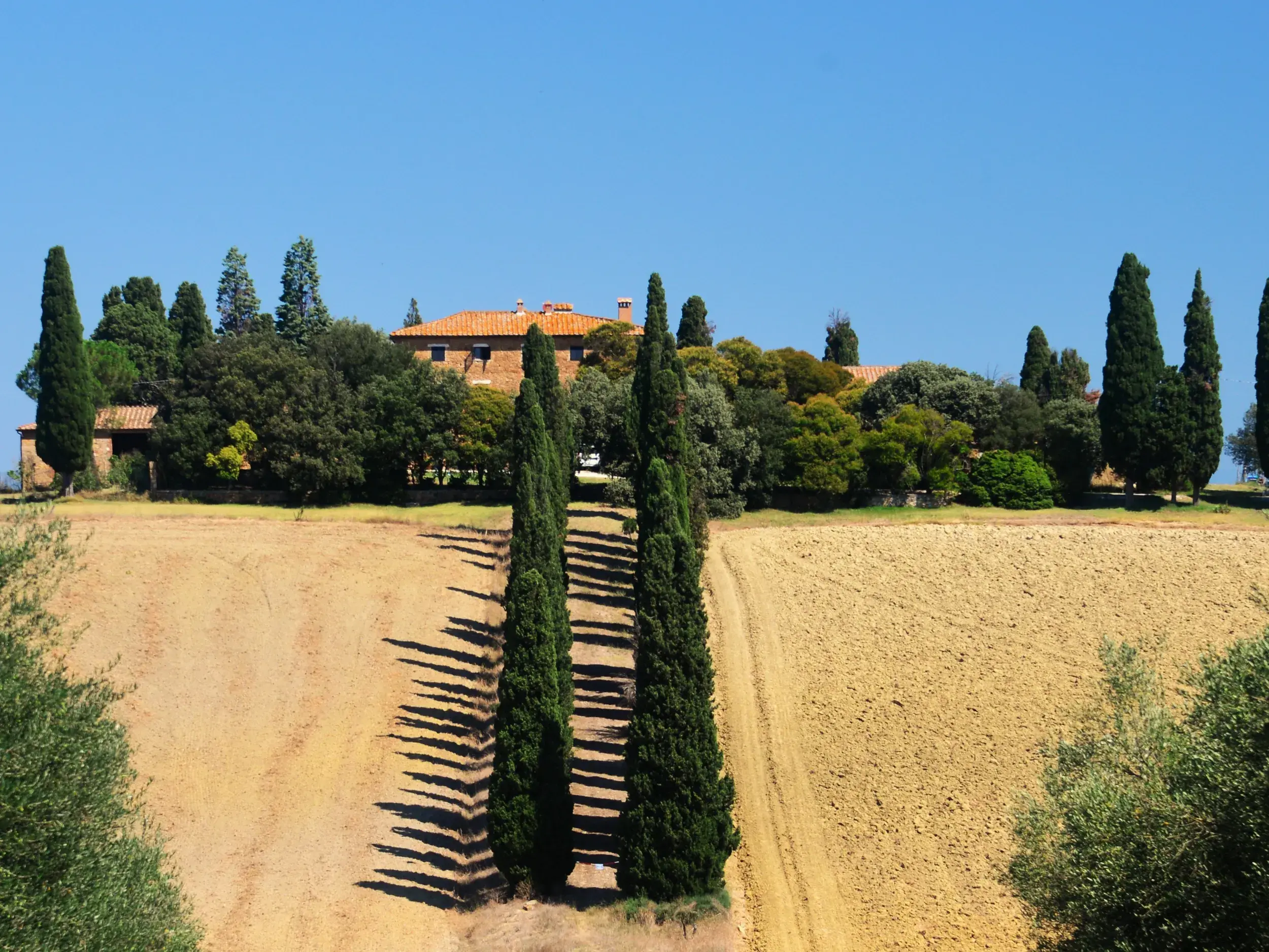 Lange Schatten einer Zypressenallee auf einem Feld vor einem Landhaus in der Bilderbuchlandschaft des Val d'Orcia.