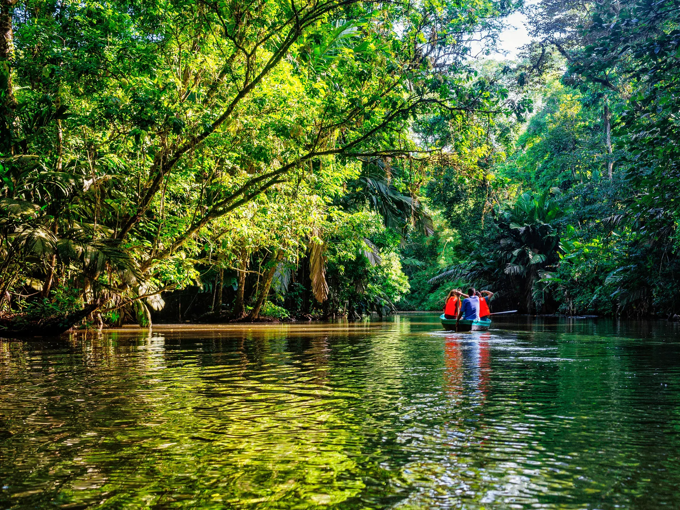 Junge Reisegruppe paddelt im Kanu auf einem Fluss durch den üppigen Regenwald des Tortuguero-Nationalparks in Costa Rica.