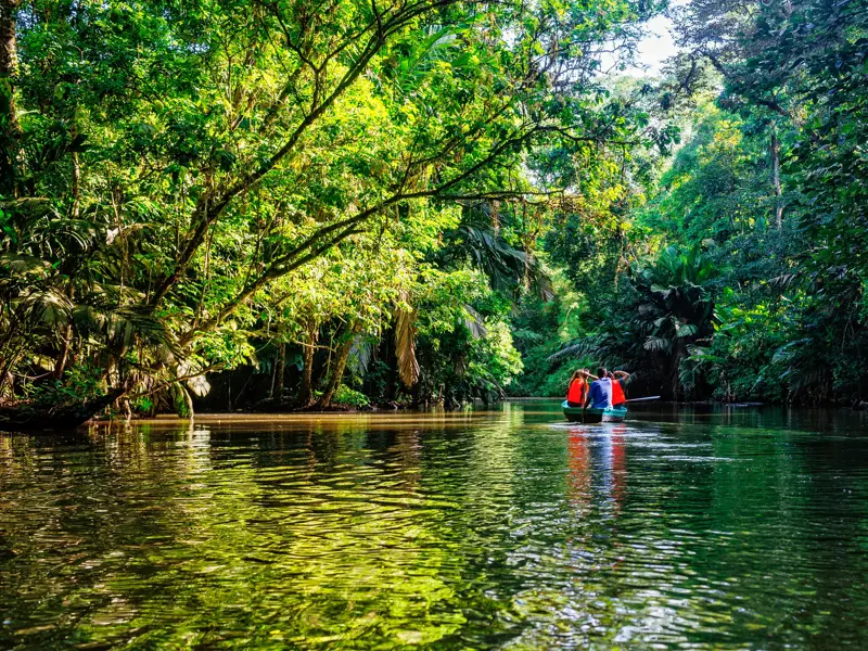 Junge Reisegruppe paddelt im Kanu auf einem Fluss durch den üppigen Regenwald des Tortuguero-Nationalparks in Costa Rica.