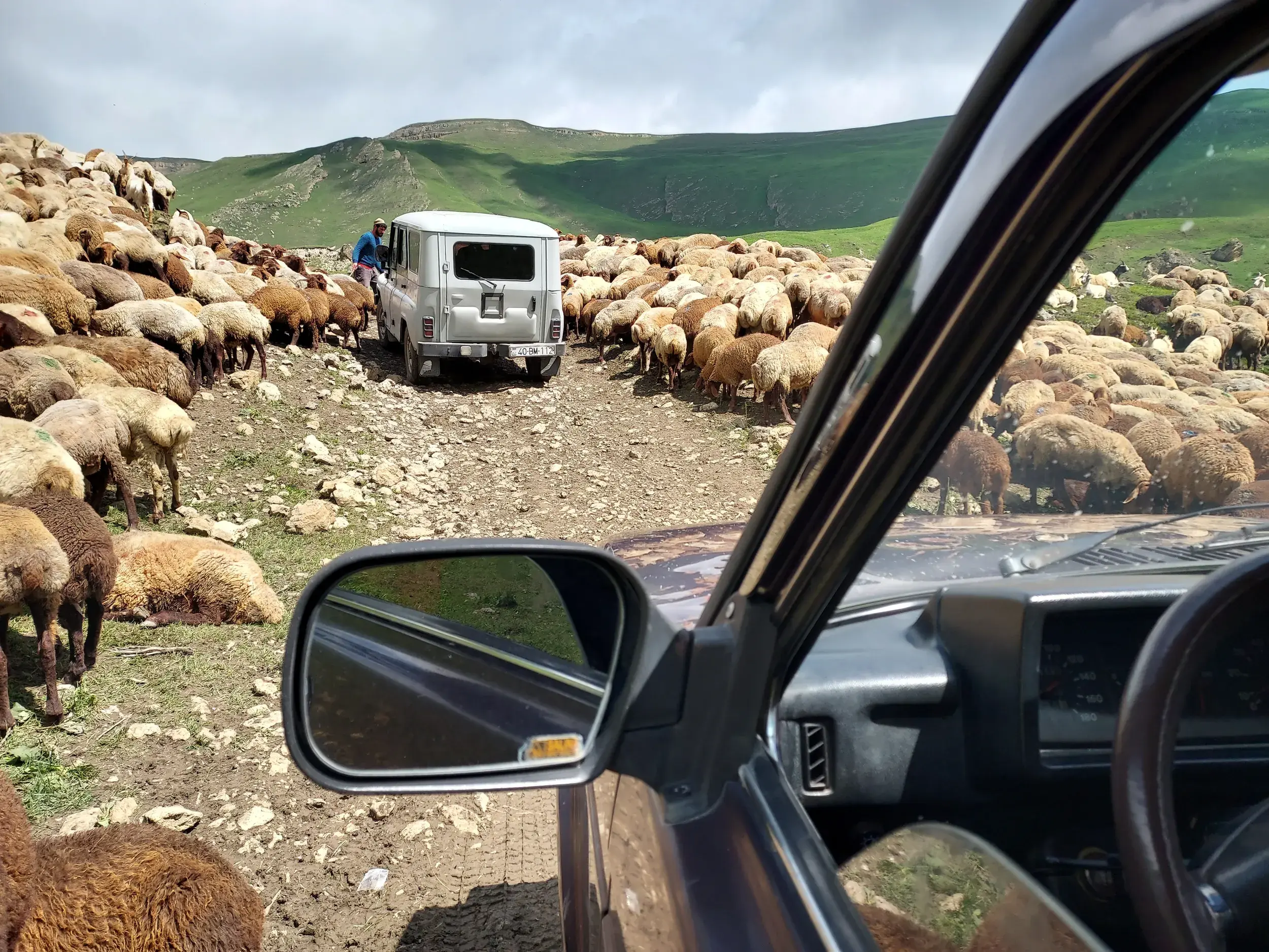 Geländewagen stoppen für eine große Schafherde auf einer Schotterpiste in den grünen Bergen des Kaukasus in Aserbaidschan.