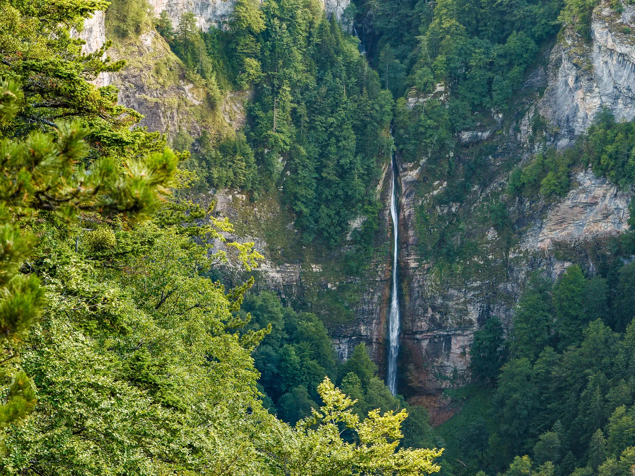 Ein schlanker Wasserfall stürzt eine steile Felswand hinab in eine tiefe, von dichten, grünen Wäldern umgebene Schlucht.