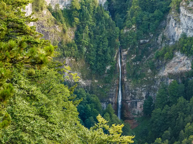 Ein schlanker Wasserfall stürzt eine steile Felswand hinab in eine tiefe, von dichten, grünen Wäldern umgebene Schlucht.
