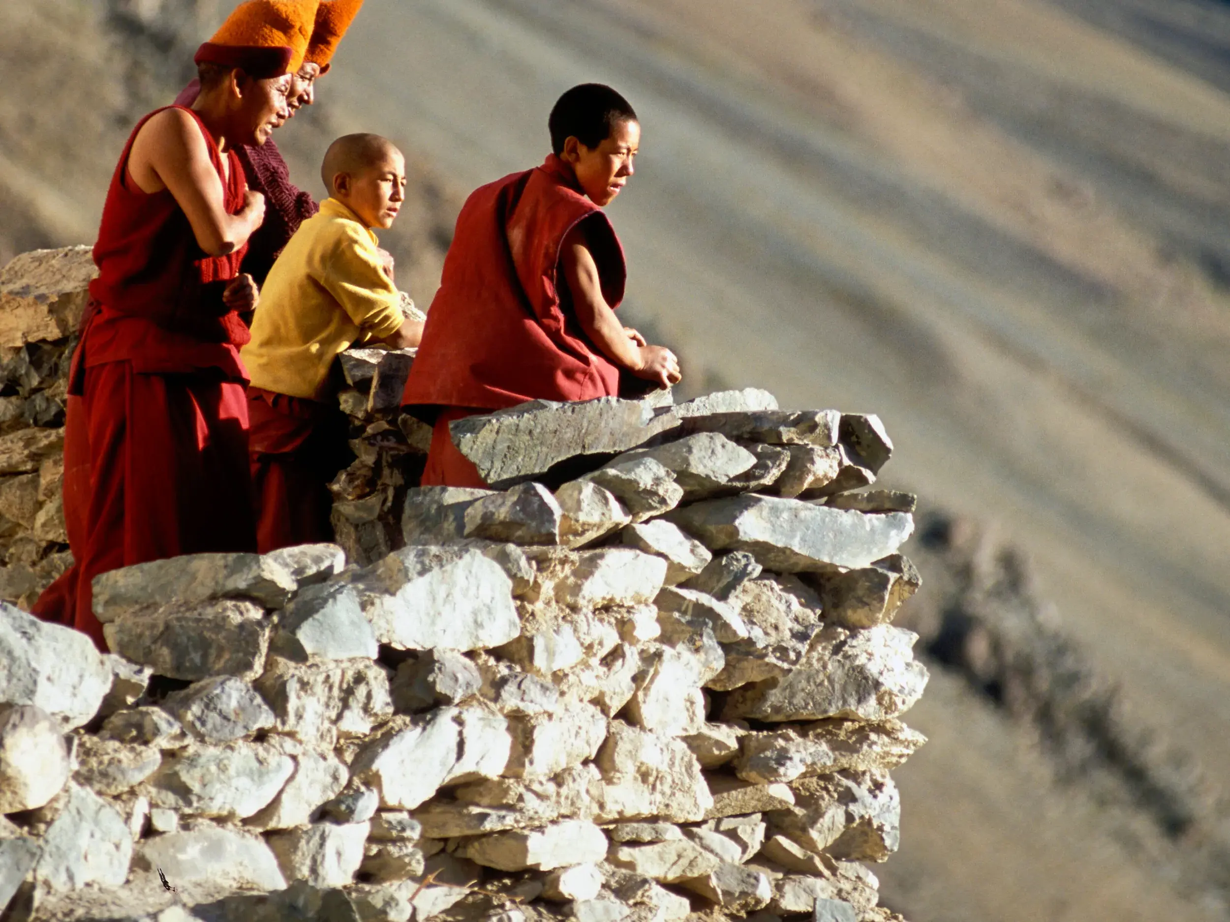 Drei junge Mönche in traditioneller Kleidung blicken nachdenklich von einer Steinmauer in die karge Bergwelt Ladakhs.