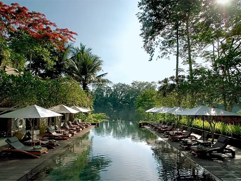 Langer Infinity-Pool eines Luxus-Resorts in Ubud, gesäumt von Holzliegen und umgeben von üppigem Dschungel auf Bali.
