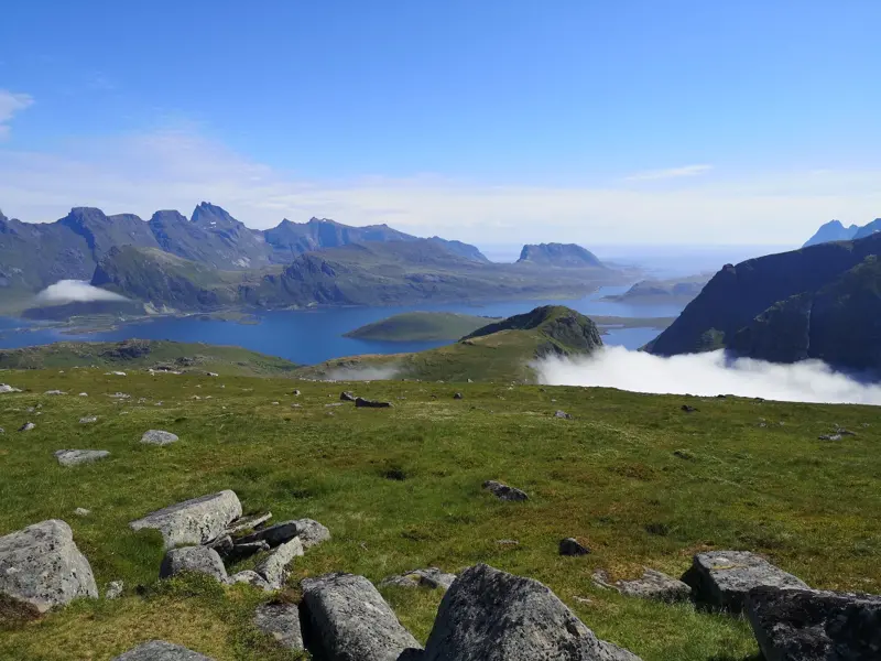 Panoramablick von einem grünen Berghang mit Felsen auf die zerklüftete Fjordlandschaft der Lofoten in Nord-Norwegen.