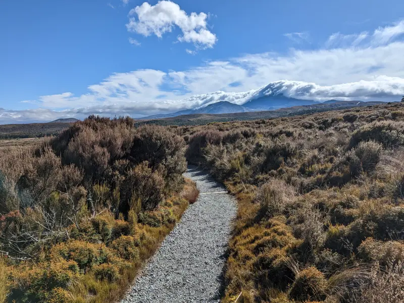 Ein Schotterweg führt durch die karge Vulkanlandschaft des Tongariro Nationalparks in Neuseeland zu einem wolkenverhangenen Vulkan.