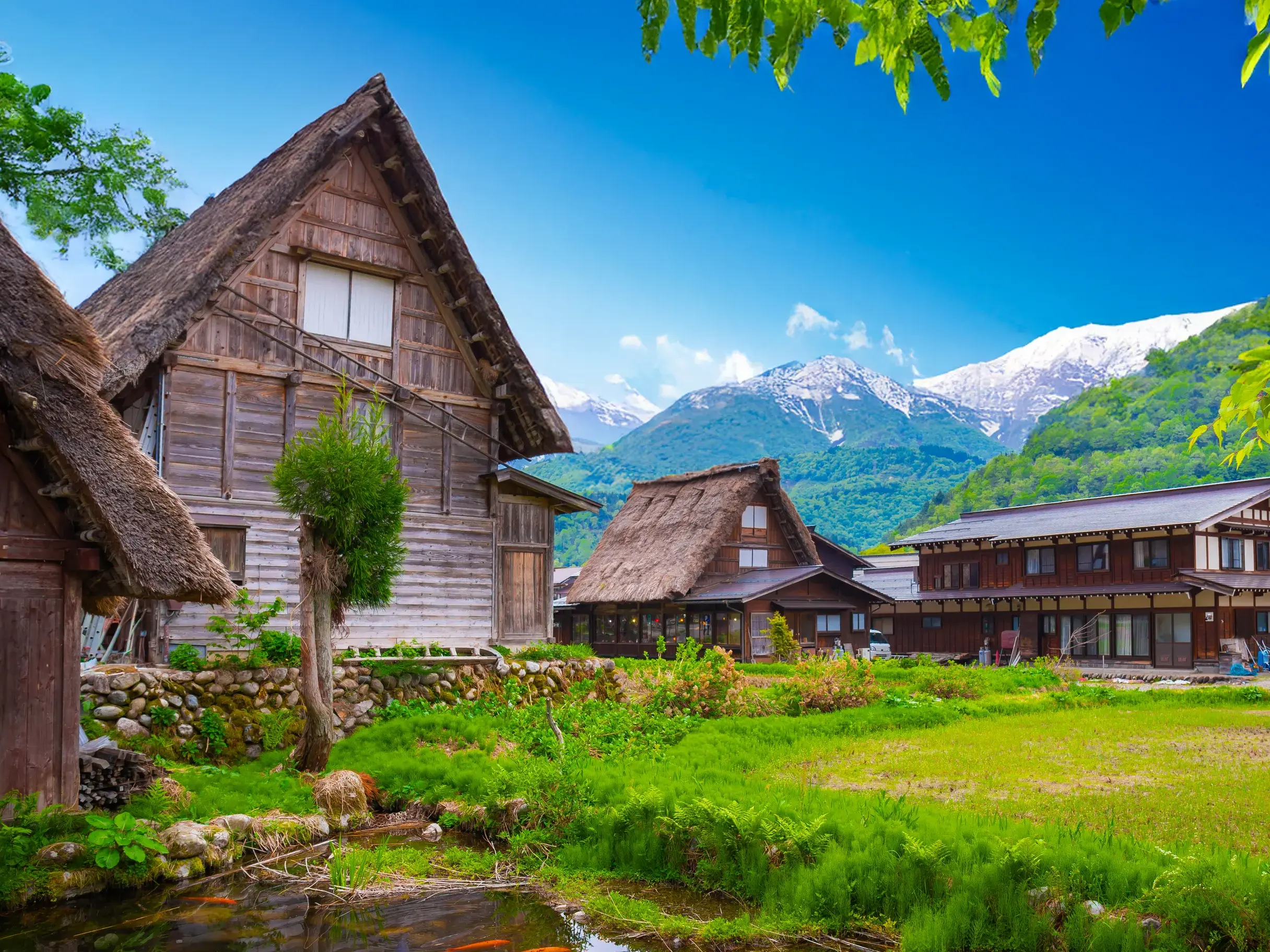 Traditionelle Holzhäuser mit Strohdach im UNESCO-Dorf Shirakawa-go vor der Kulisse der  japanischen Alpen.