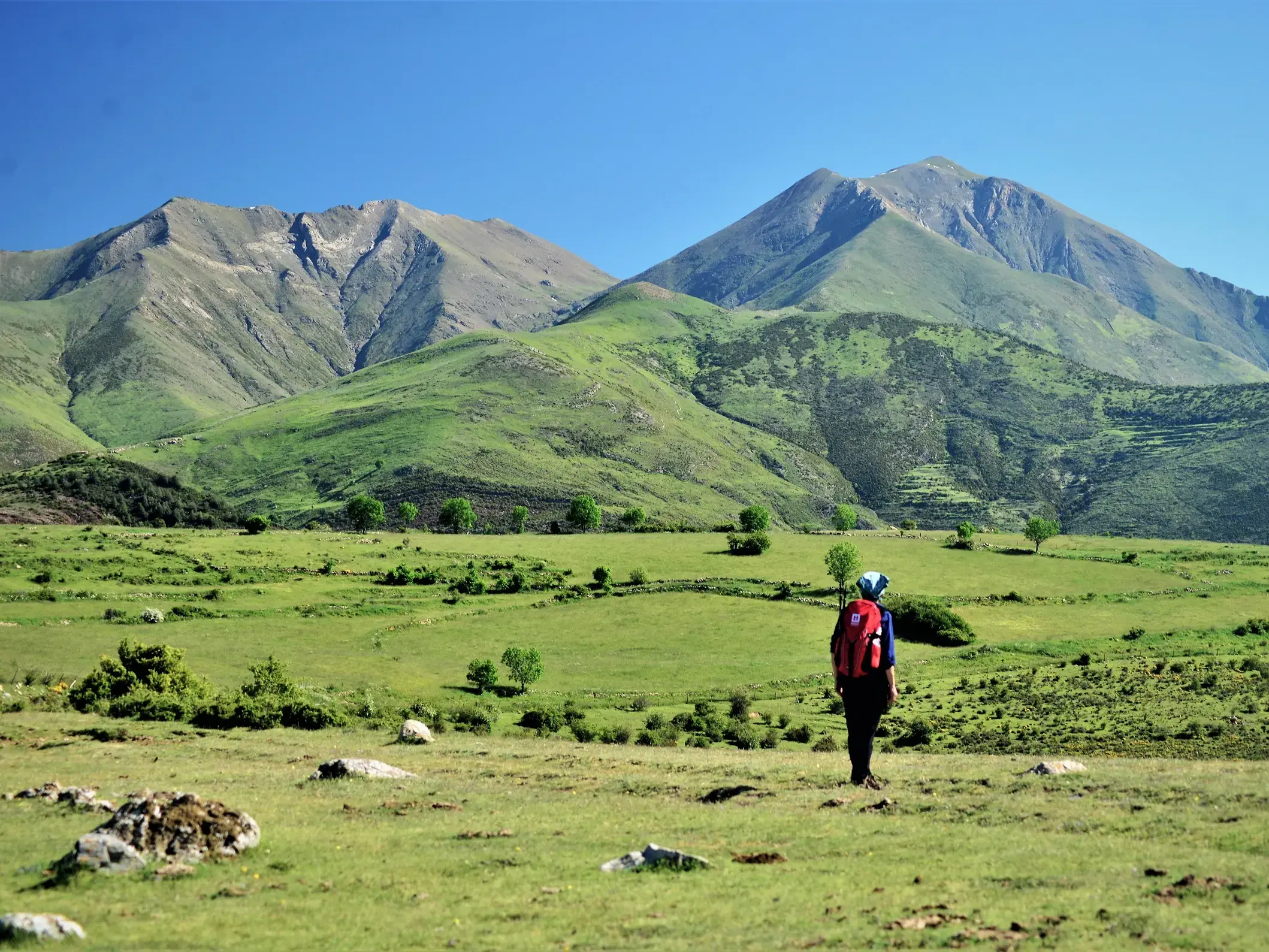 Trekking in den spanischen Pyrenäen: Eine Person mit Rucksack blickt über grüne, hügelige Weiden auf eine Bergkette.