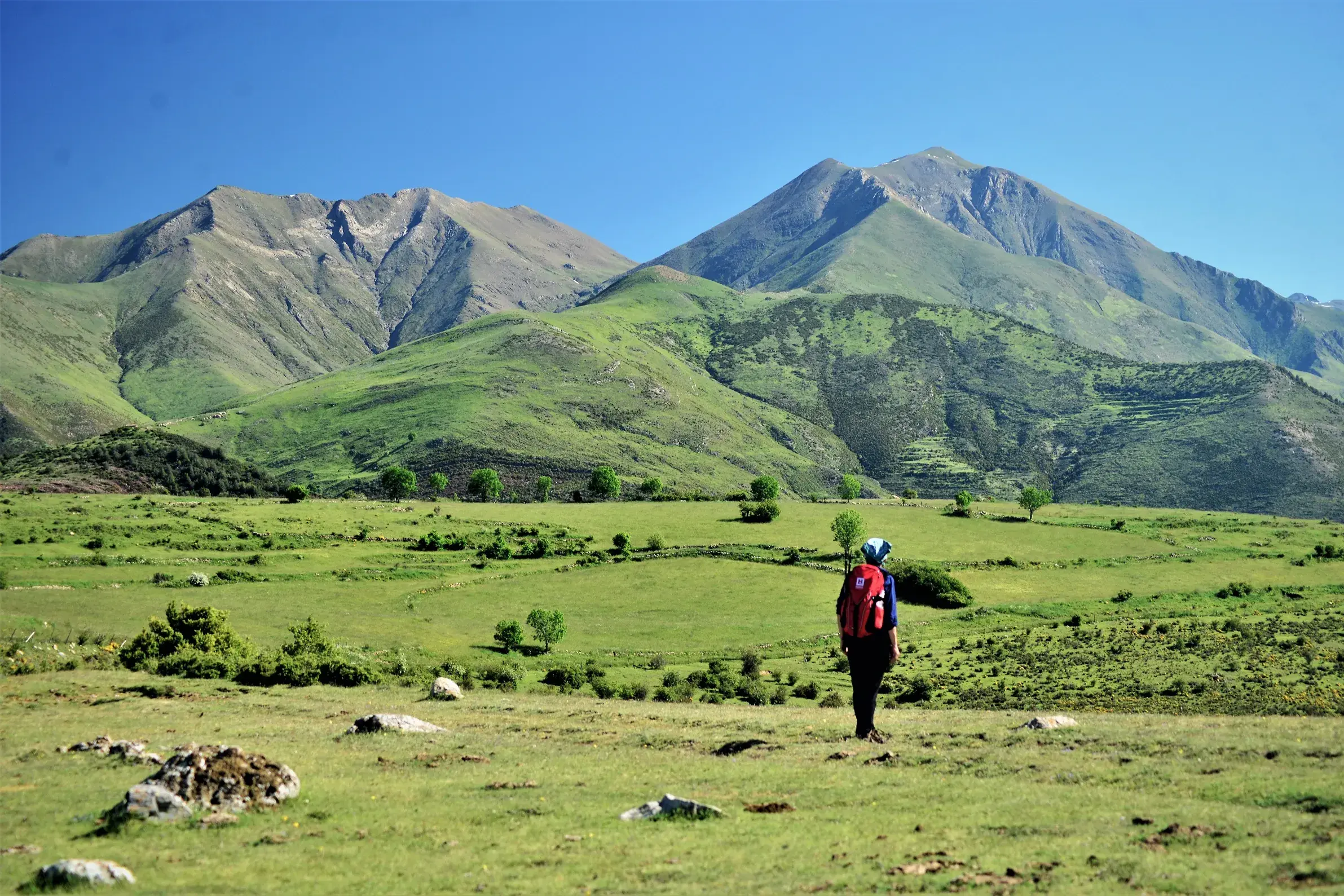 Trekking in den spanischen Pyrenäen: Eine Person mit Rucksack blickt über grüne, hügelige Weiden auf eine Bergkette.