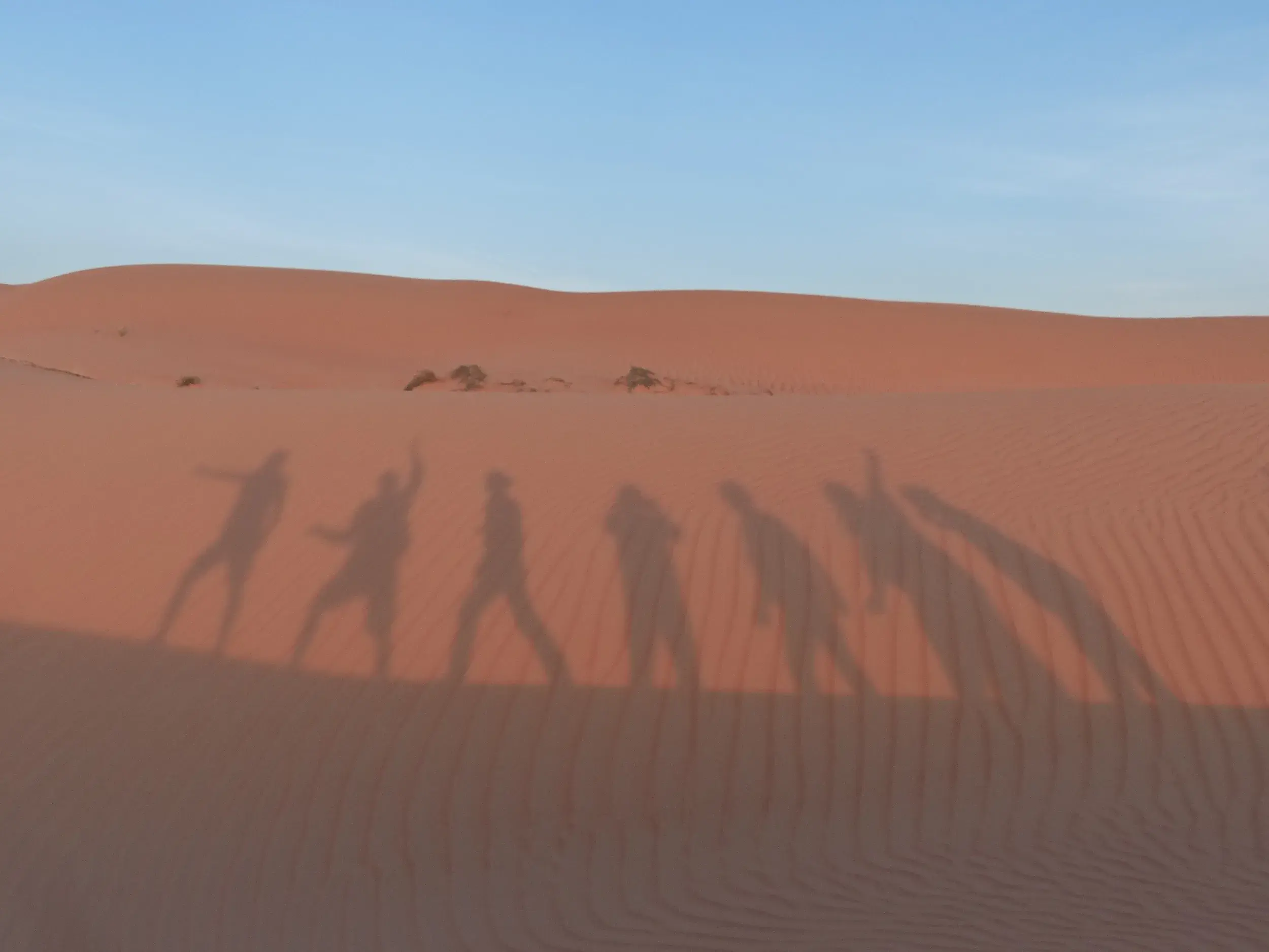 Lange Schatten einer Wandergruppe auf einer rötlichen Sanddüne in der Wahiba Sands Wüste im Oman bei tiefstehender Sonne.