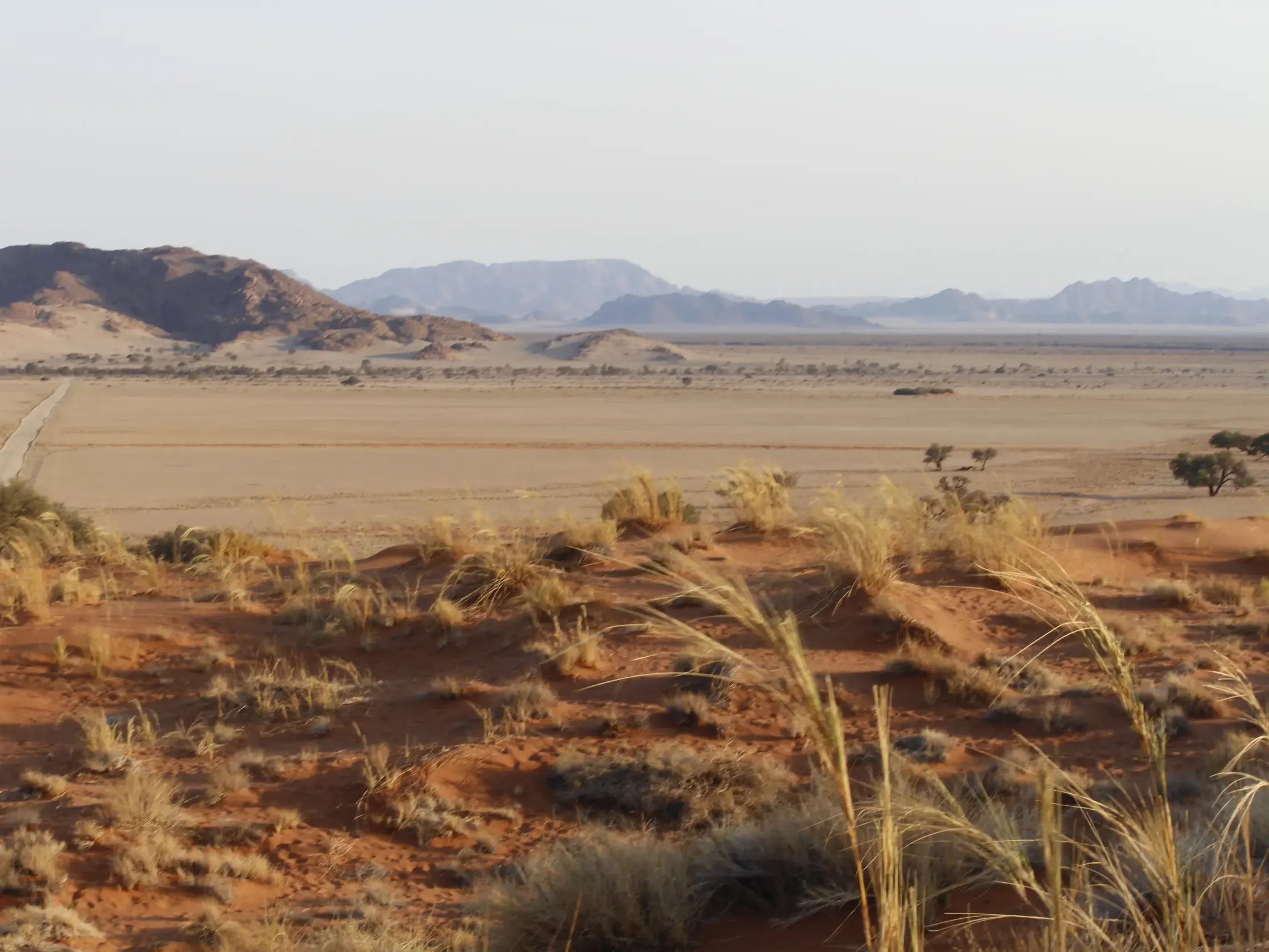 Wanderung durch die Namib-Wüste: Rote Dünen und eine einsame Piste, die durch die weite Ebene zu den Bergen führt.