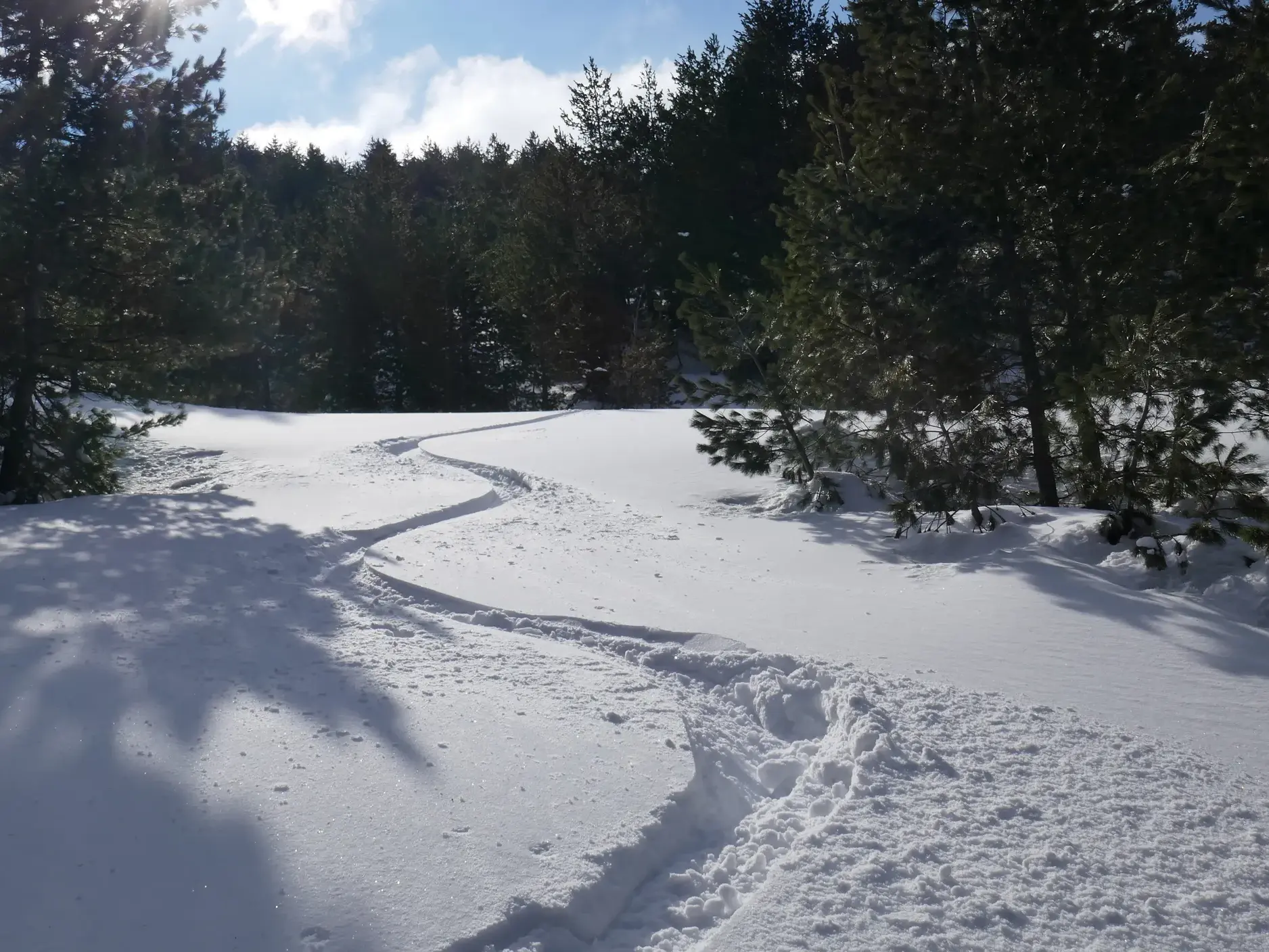 Einsame Skispuren ziehen sich durch den Pulverschnee einer unberührten Winterlandschaft im Sharr-Gebirge im Kosovo.