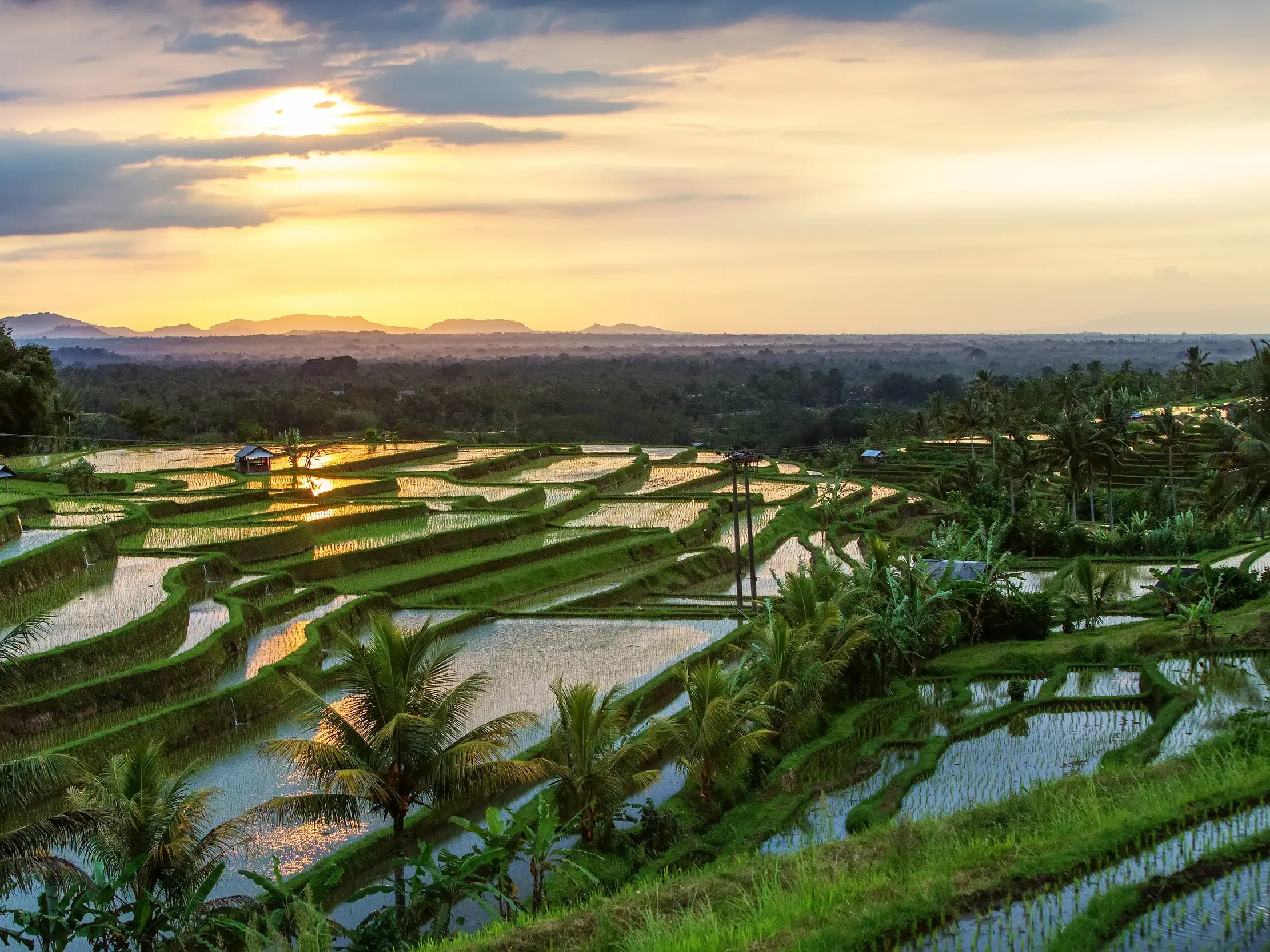 Goldener Sonnenuntergang über den weitläufigen Reisterrassen von Jatiluwih auf einer Kleingruppenreise durch Bali.