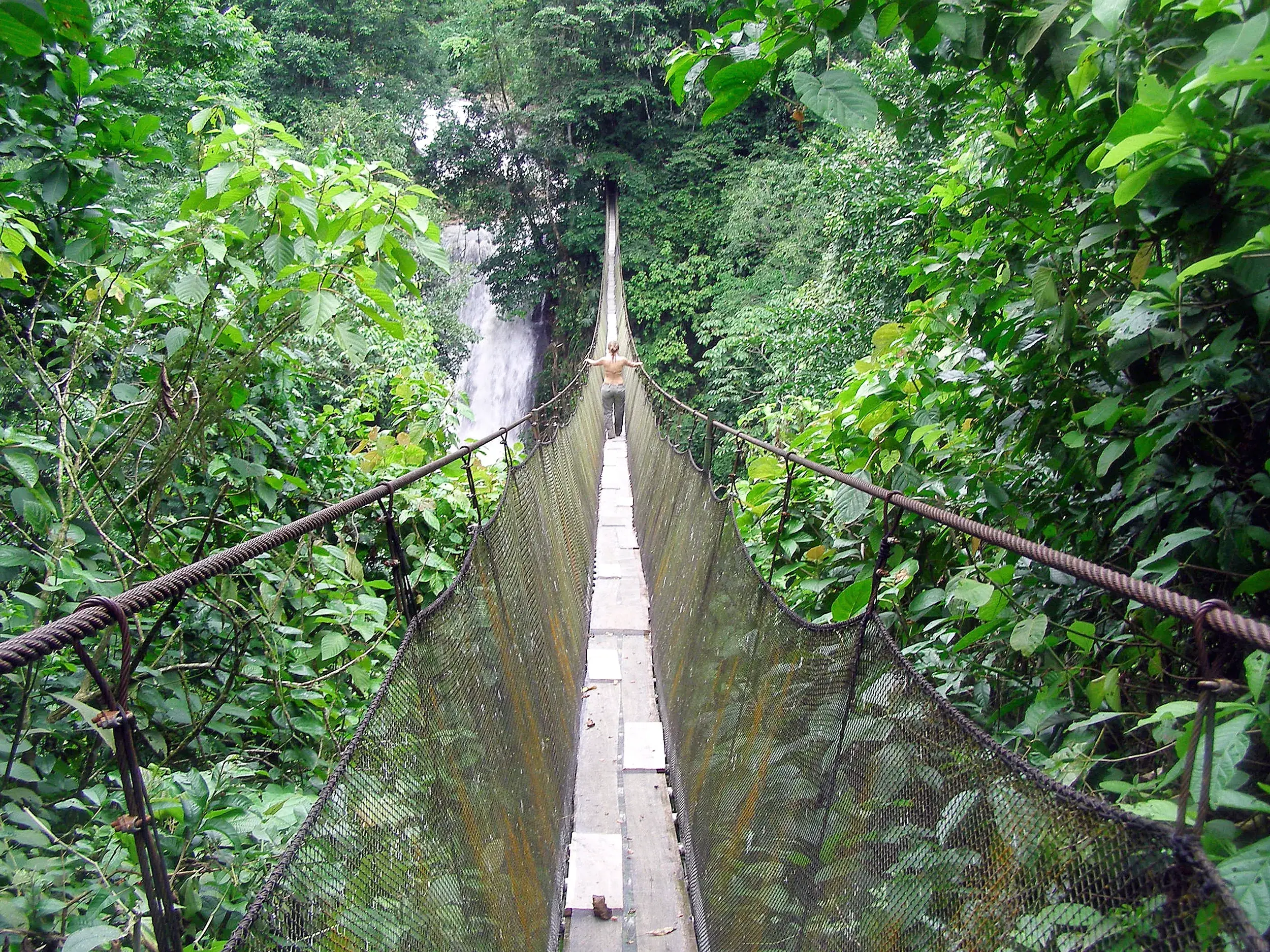 Ein Wanderer balanciert auf einer langen Hängebrücke im dichten Dschungel Costa Ricas, im Hintergrund ein Wasserfall.